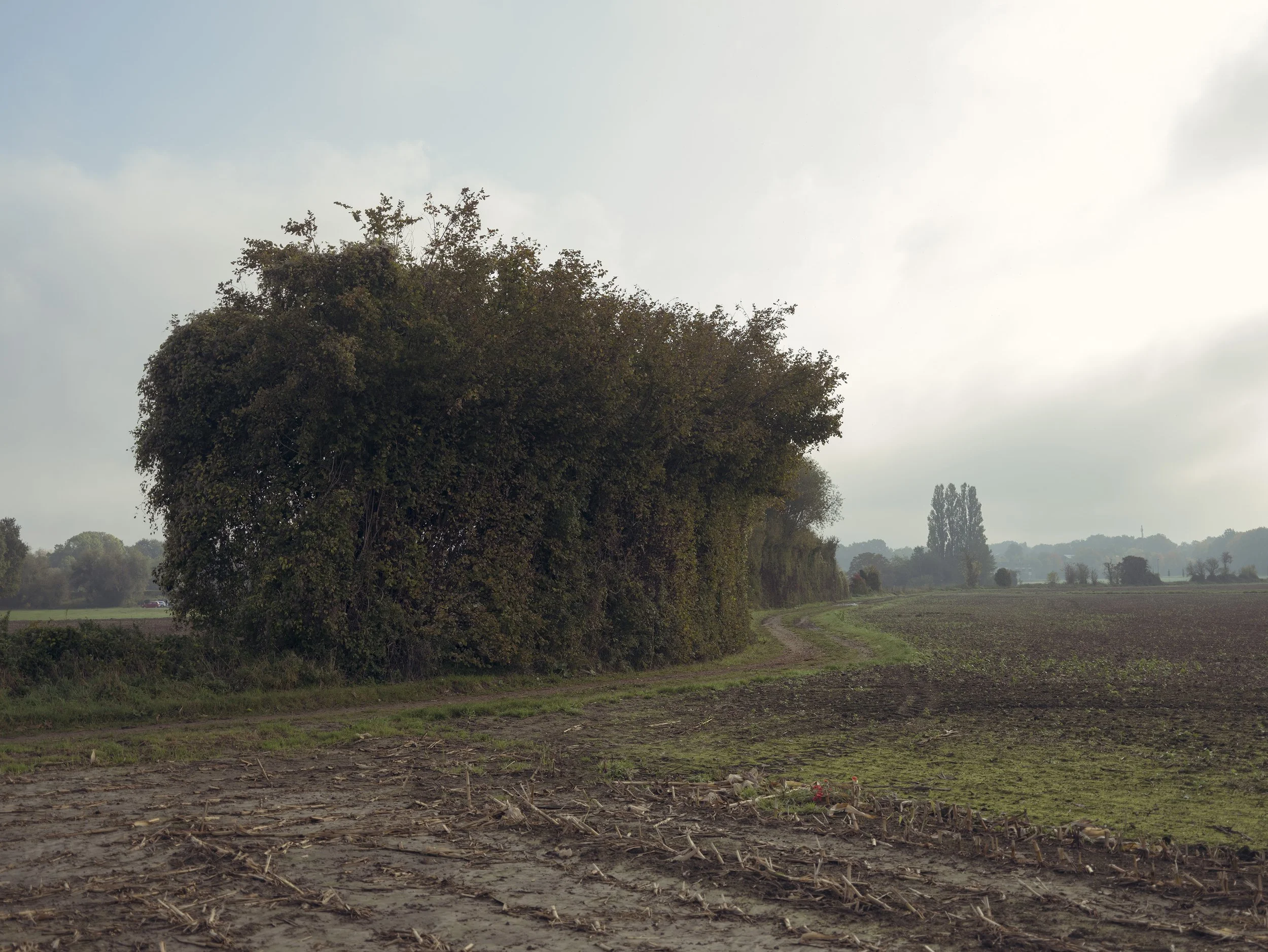 Aachen Vetschau 14 oktober 2025