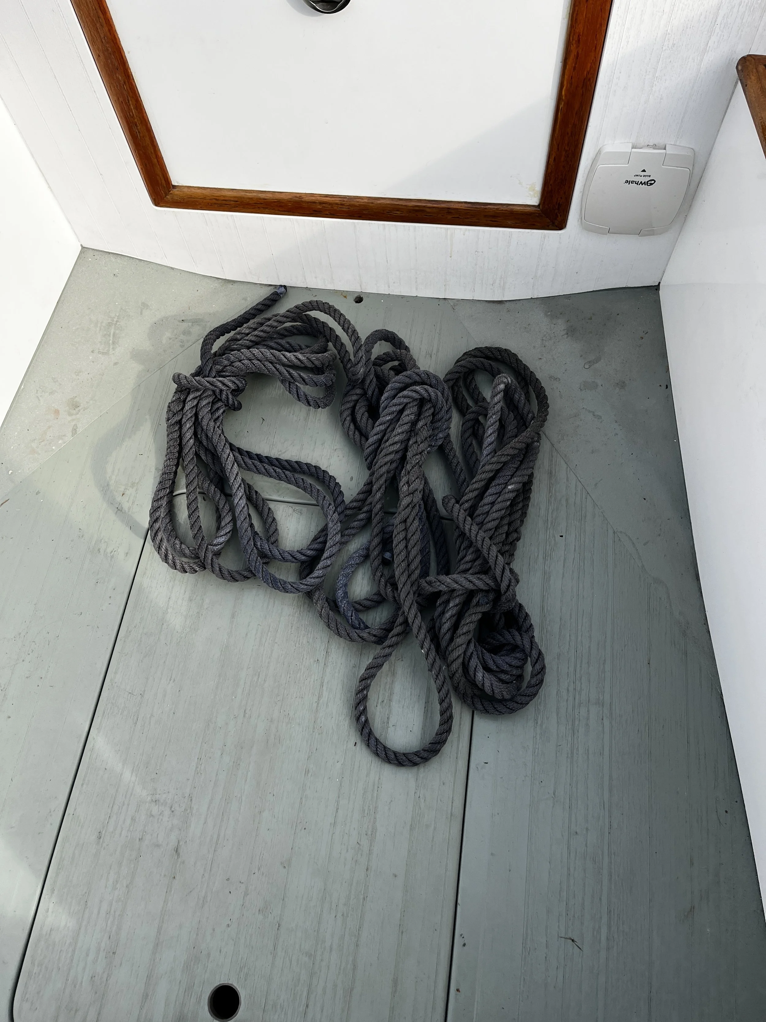 P18-Lazy_B  (15).JPG