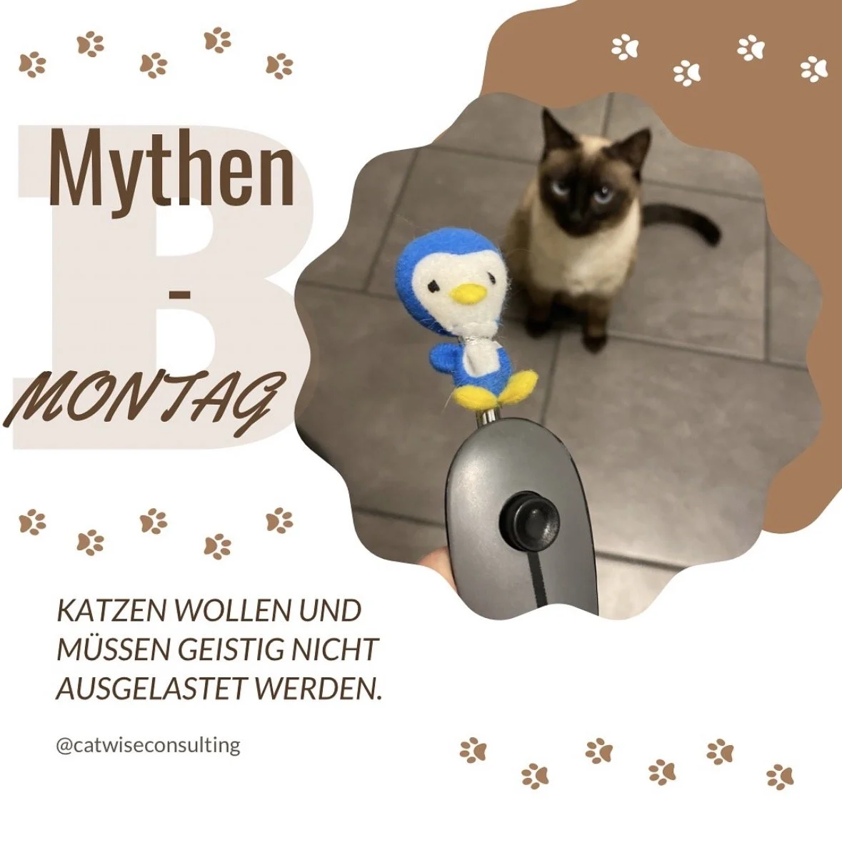 Bild eines Katzenkopfes, der durch einen Spiegel reflektiert wird, mit einem Plüschpinguin auf einem Targetstab und einer Katze im Hintergrund. Text auf dem Bild: "Mythen B Montag. Katzen wollen und müssen geistig nicht ausgelastet werden."