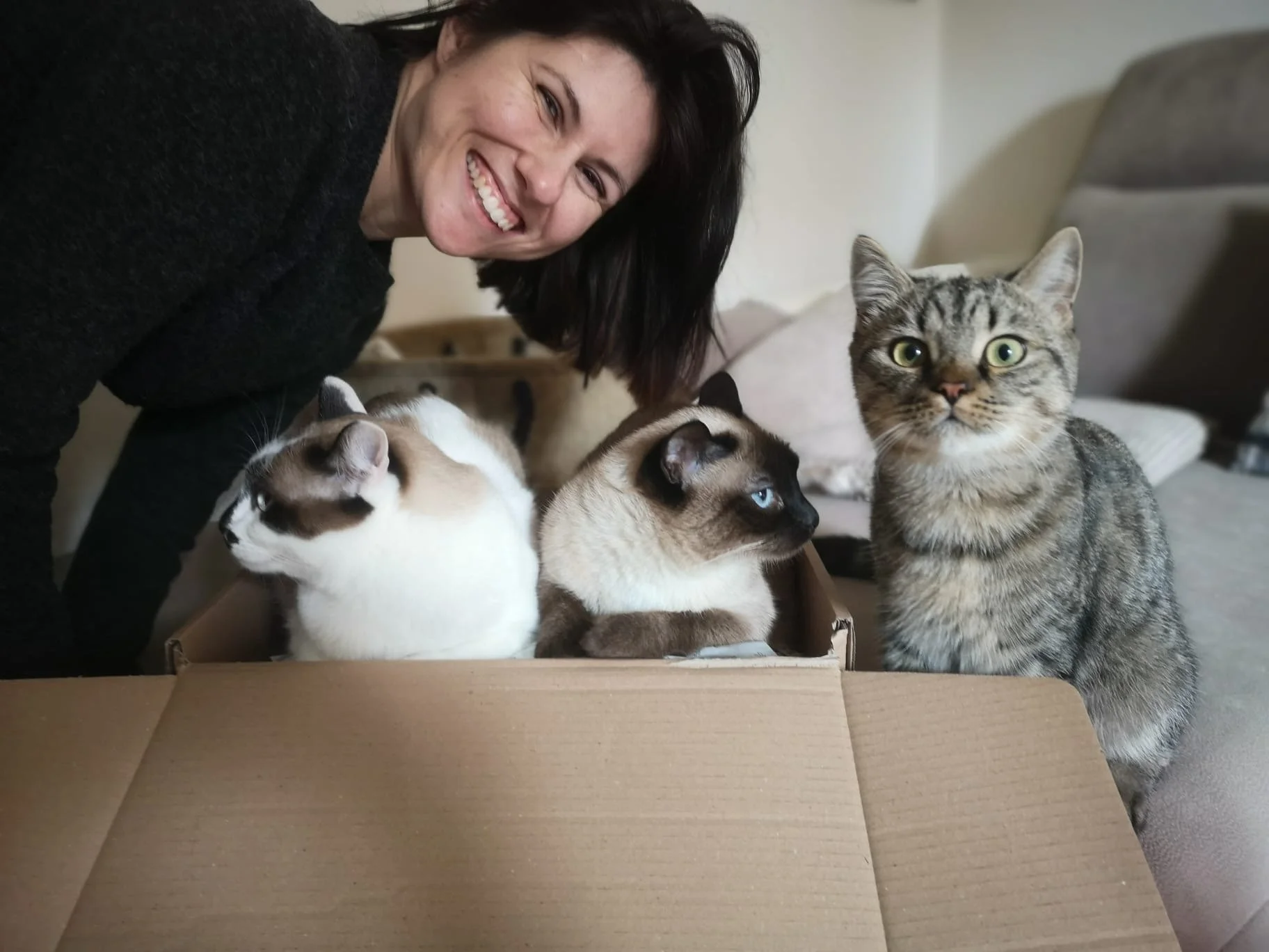Ein Lächeln und drei Katzen auf einem Wohnzimmer-Sofa.