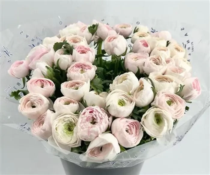 Understanding Flower Quality, Grades and Varieties.