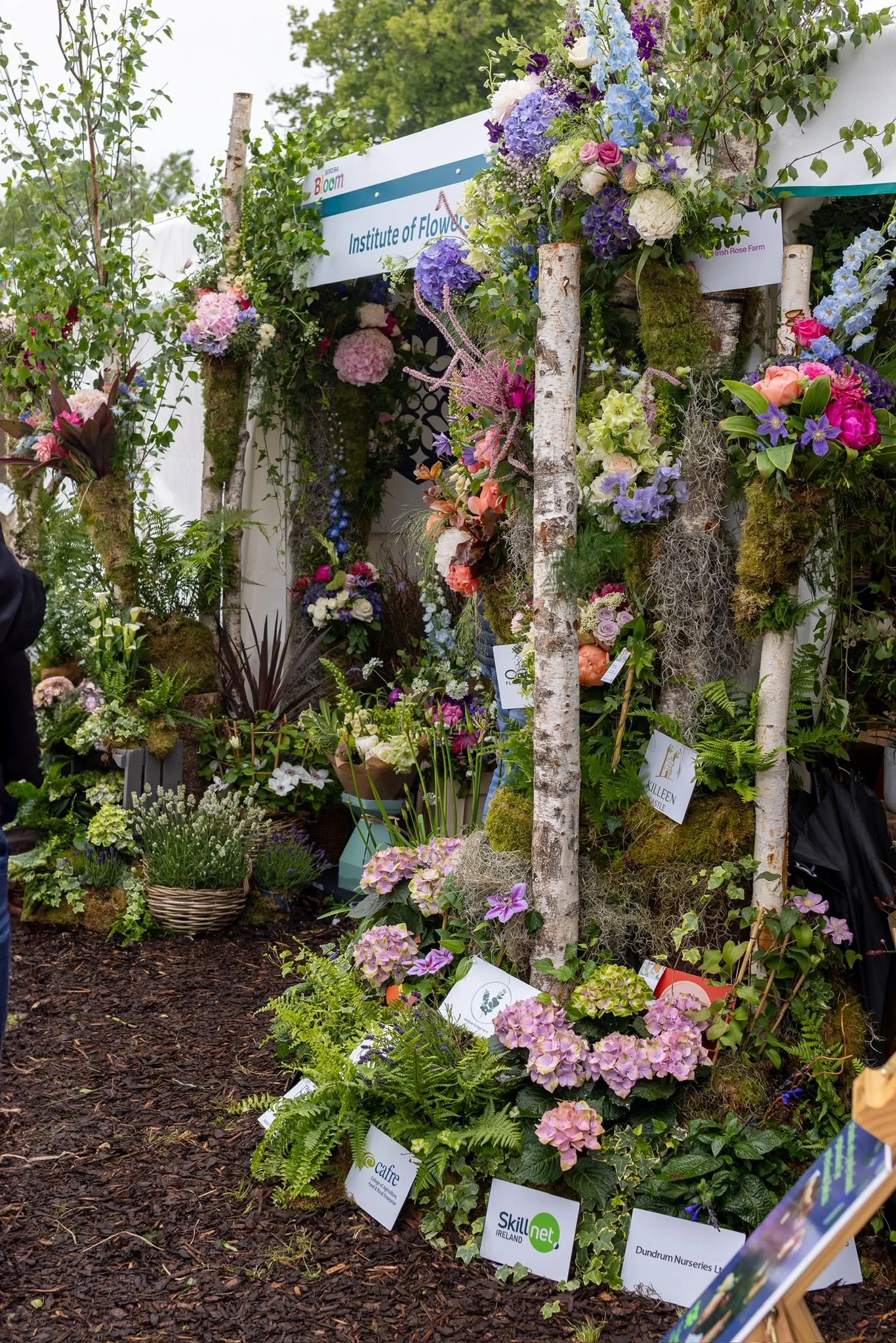Want to Be Part of Bloom 2026 With the Institute of Flowers?