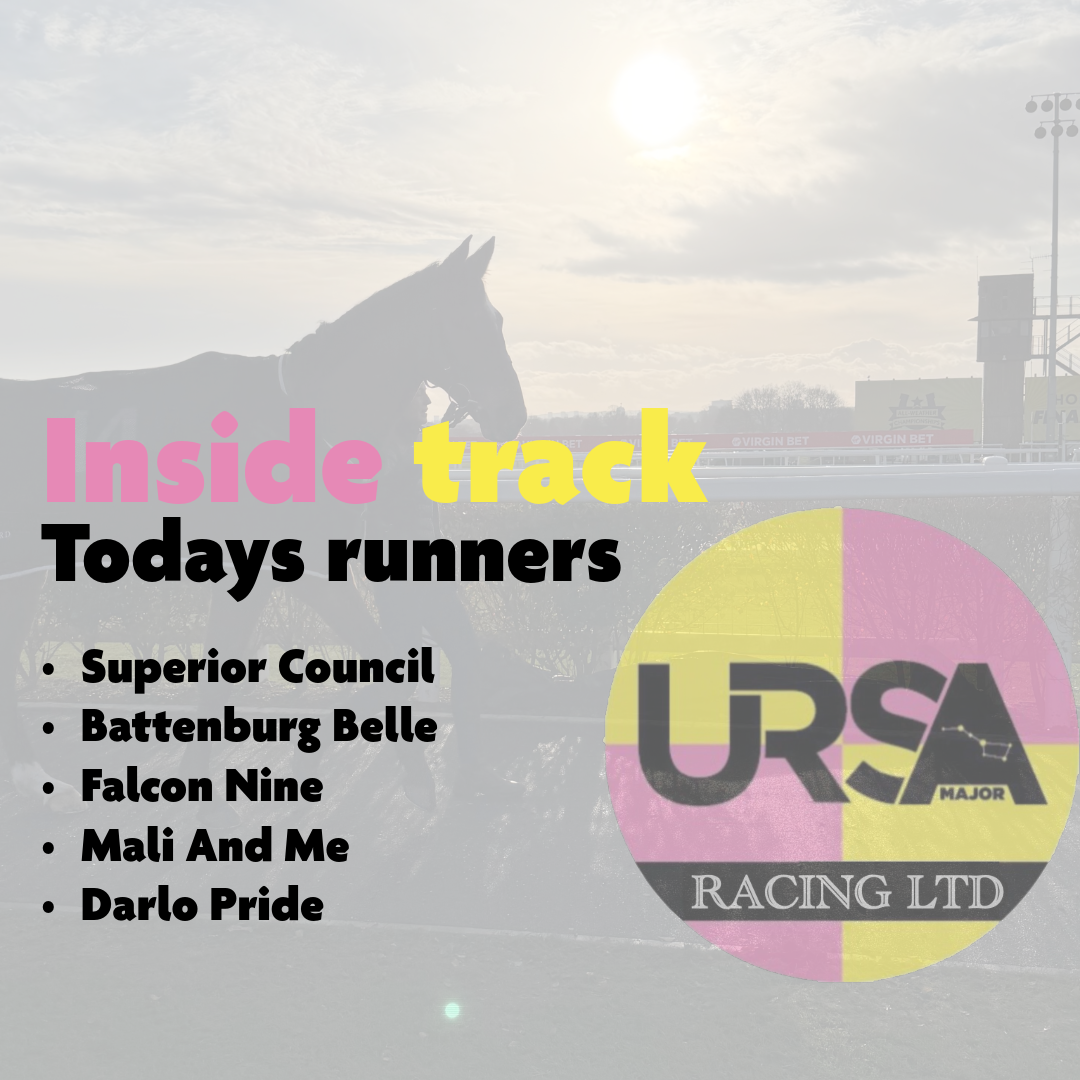 SD’s Inside Track - Newcastle Preview