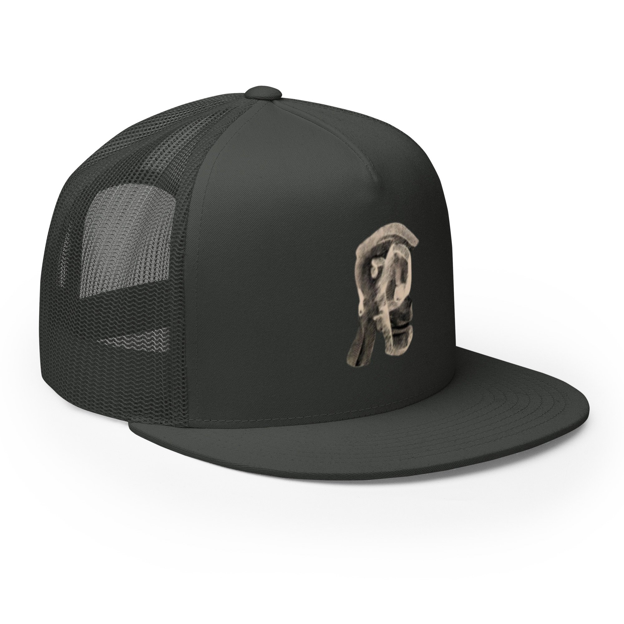 5-panel-trucker-cap-charcoal-right-front-67df856402fad.jpg