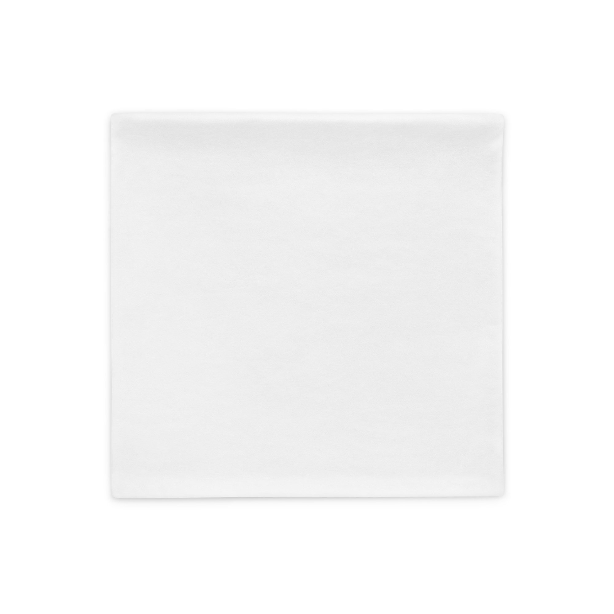 all-over-print-basic-pillow-case-18x18-back-67e9f6e41d82f.jpg