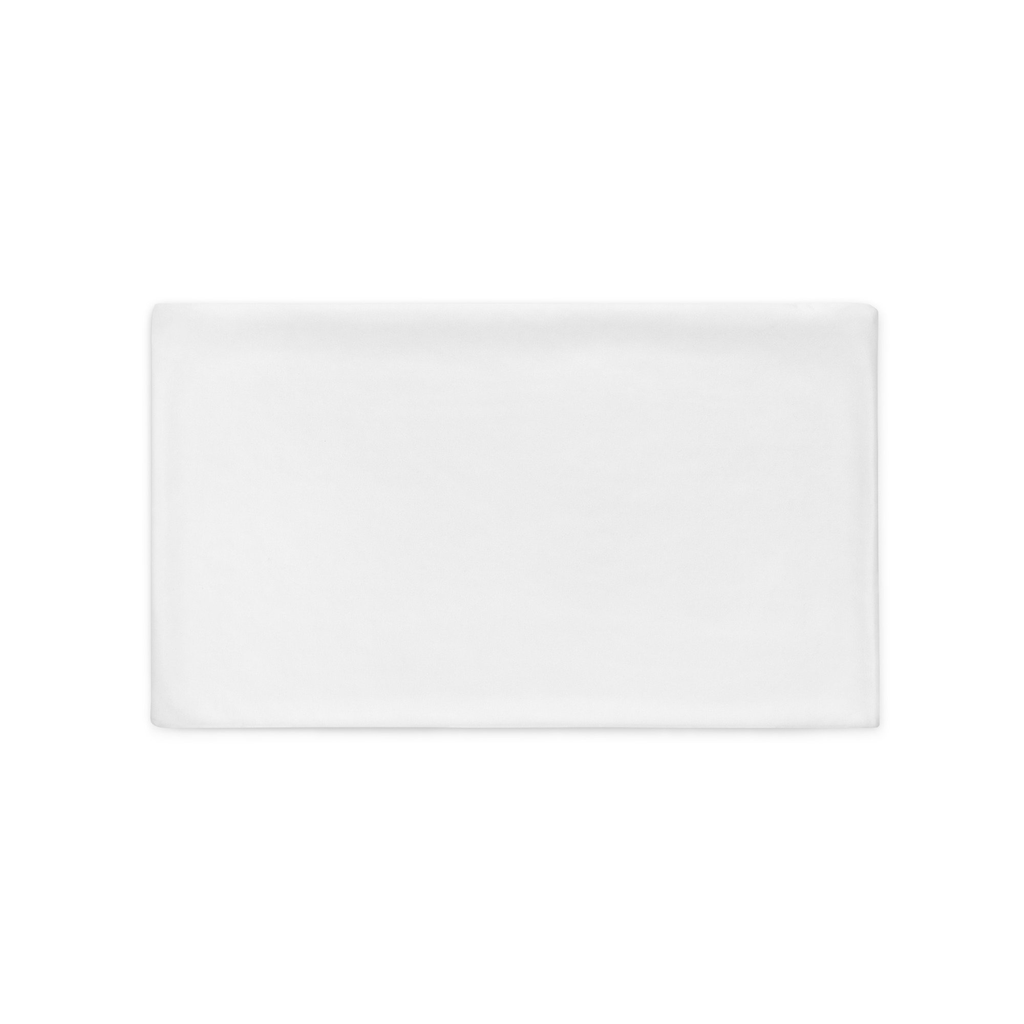 all-over-print-basic-pillow-case-20x12-back-67e9f6e41d981.jpg