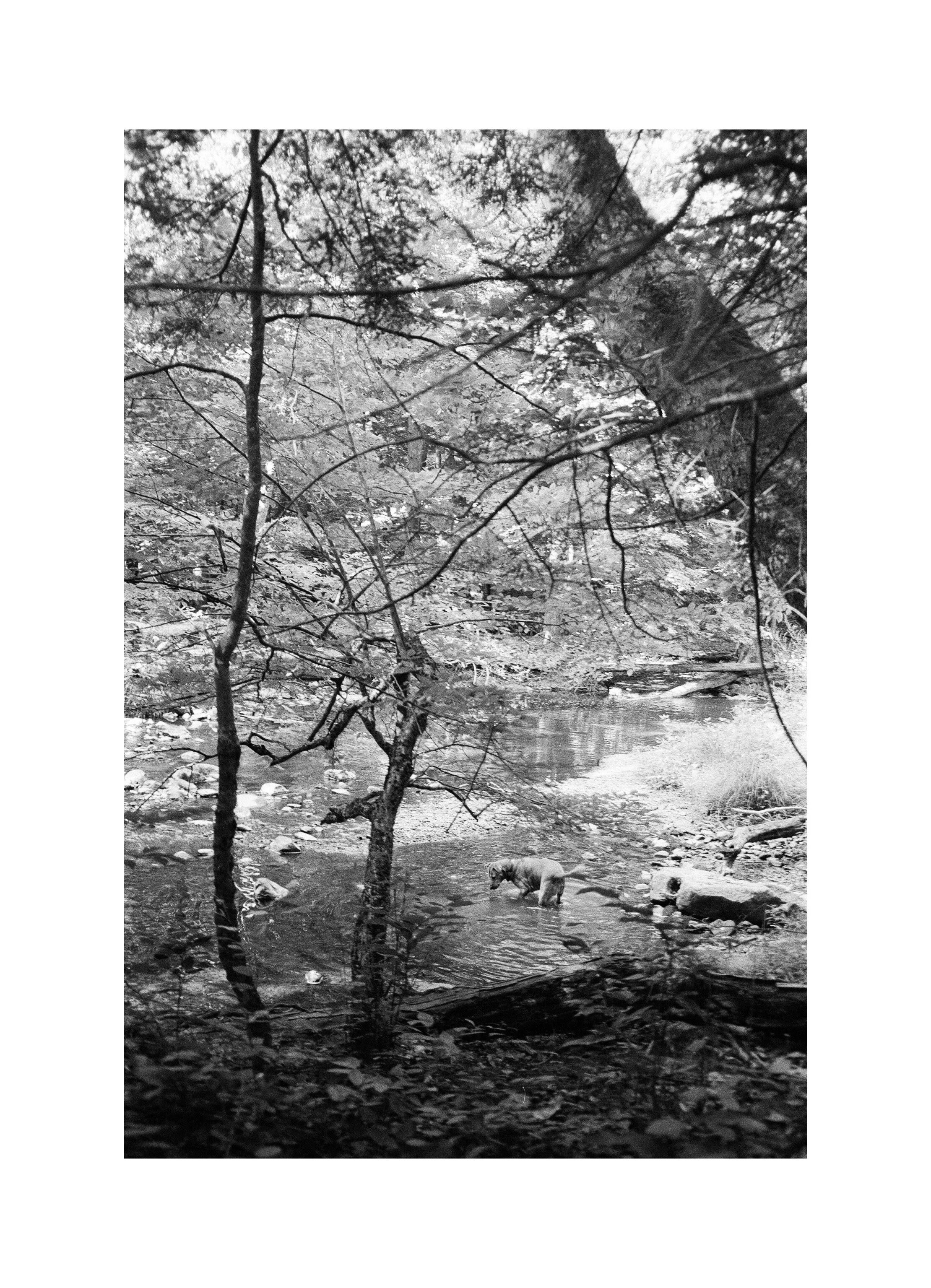 Image-1.JPG