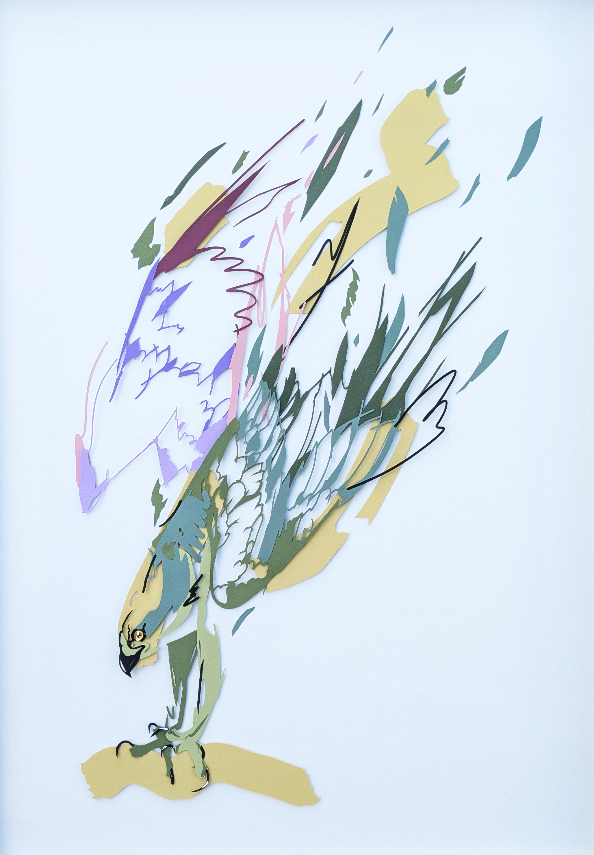 Osprey 002 - 70x50.png