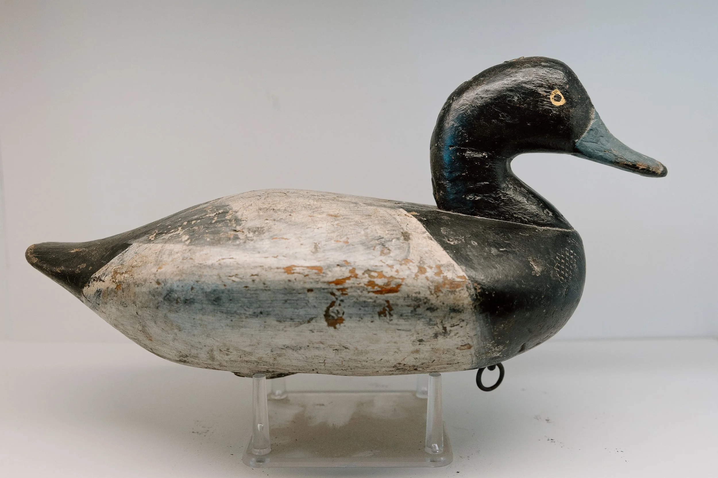 John “Daddy” Holly, Bluebill, Early 1800s