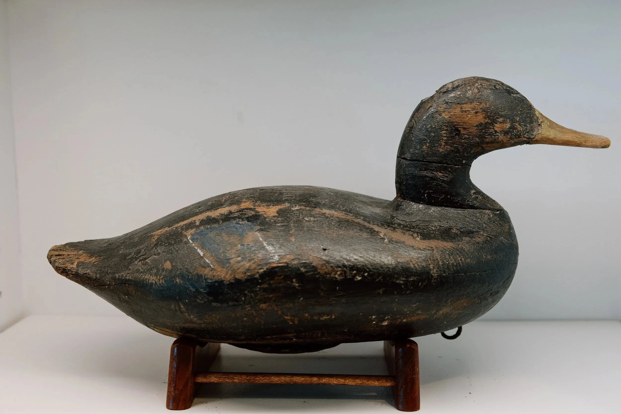 James T. Holly, Black Duck, Late 1800s