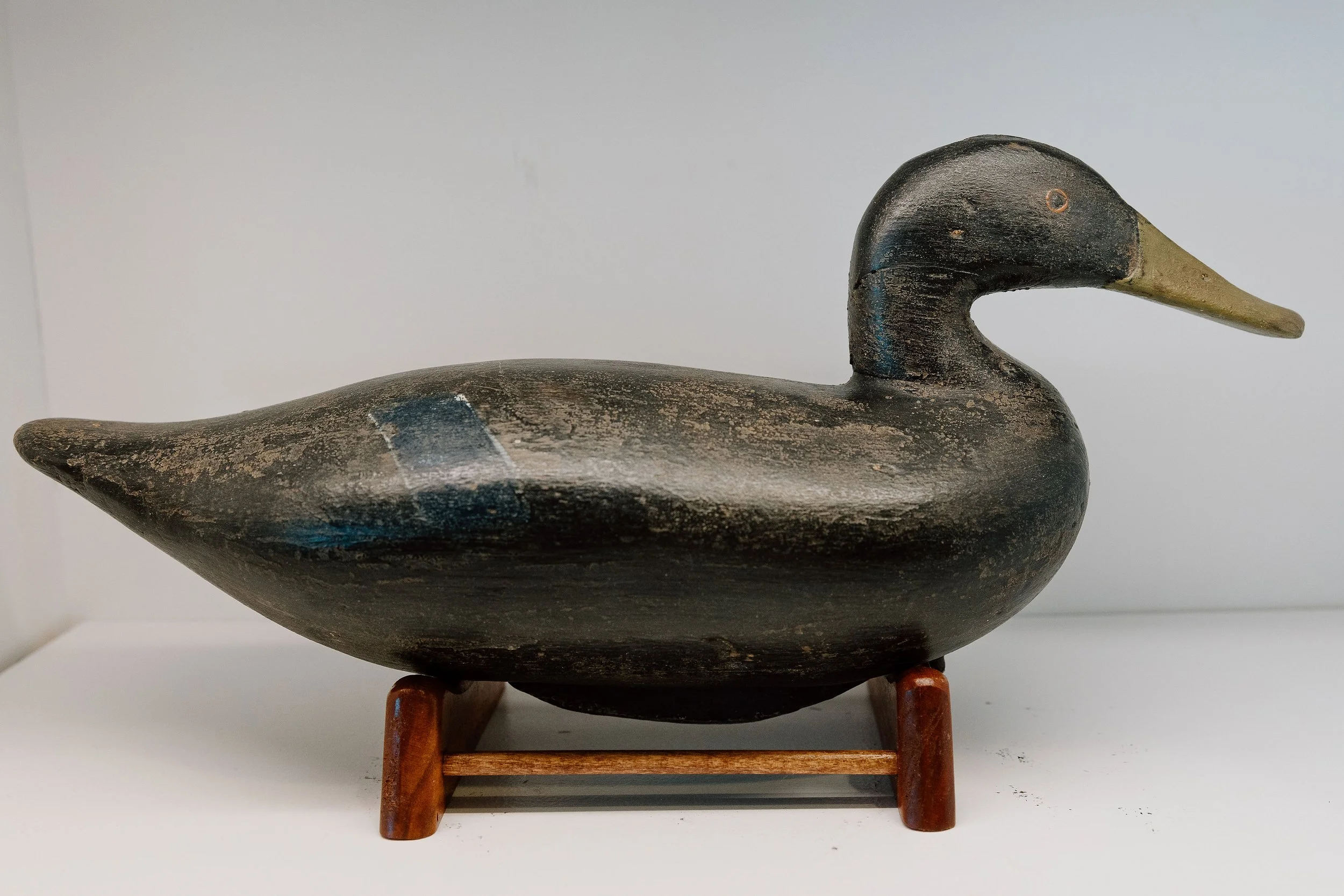 James T. Holly, Black Duck, Early 1900s (Copy)