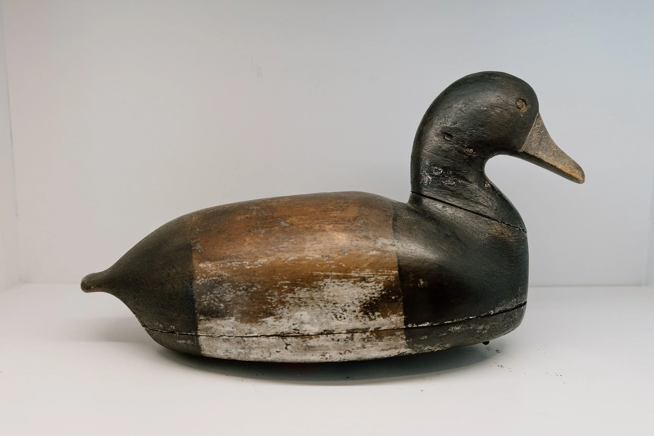 Arthur Cobb, Bluebill, 1885-1895