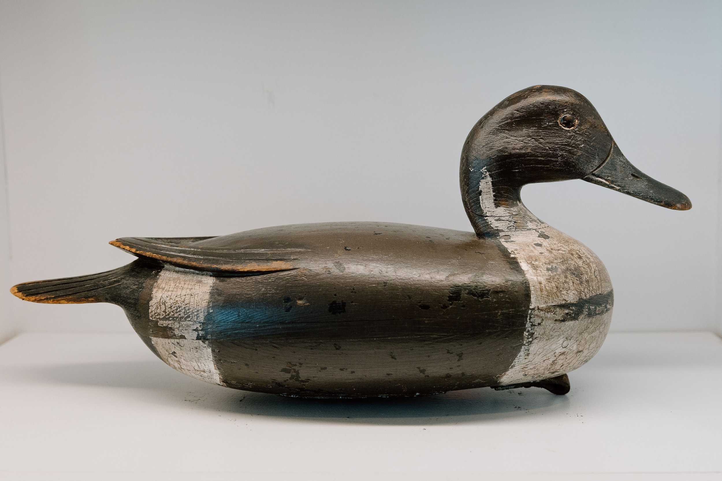 Jesse Heisler, Pintail Drake, ca. 1915