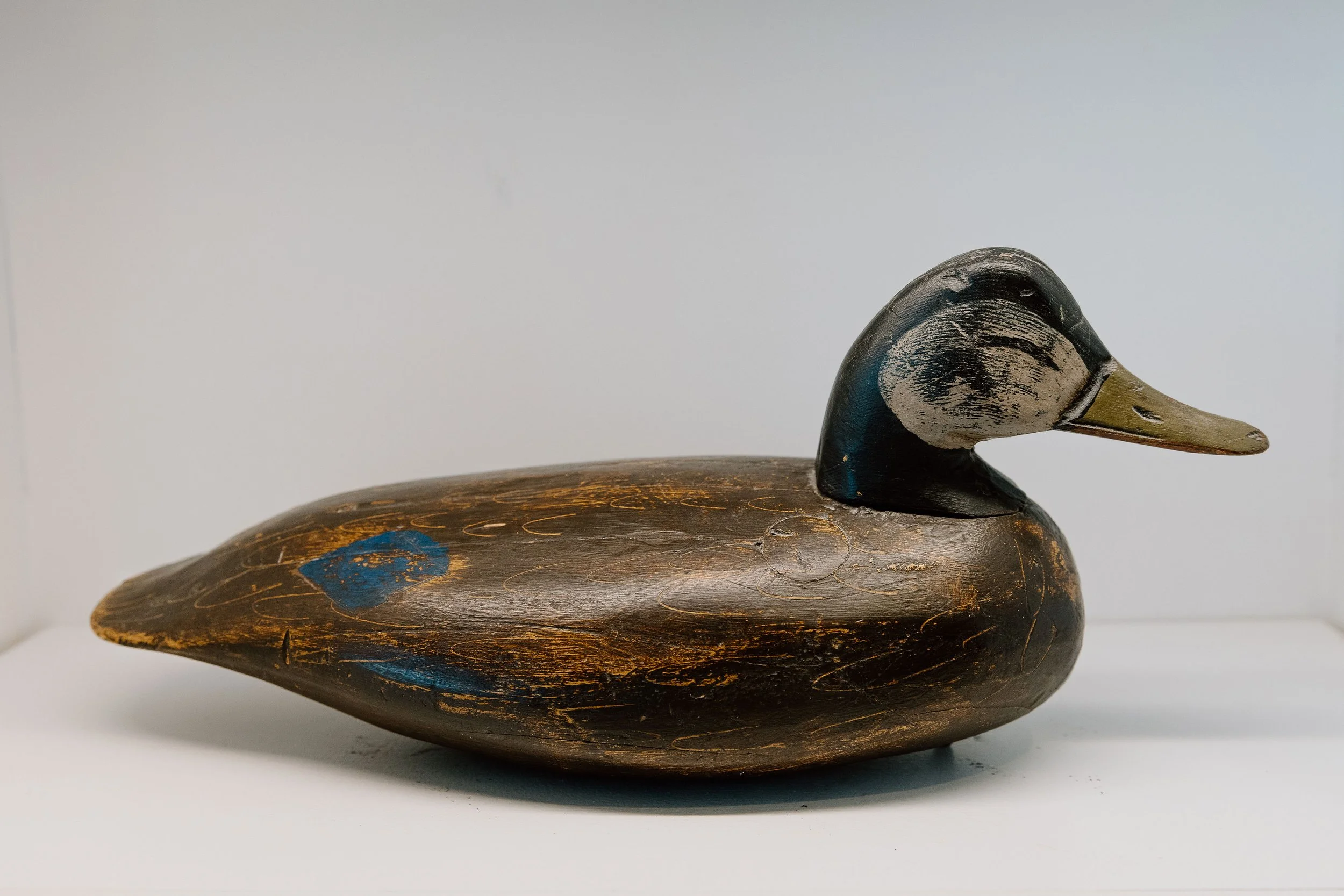 Doug Jester, Black Duck, ca. 1932-1935