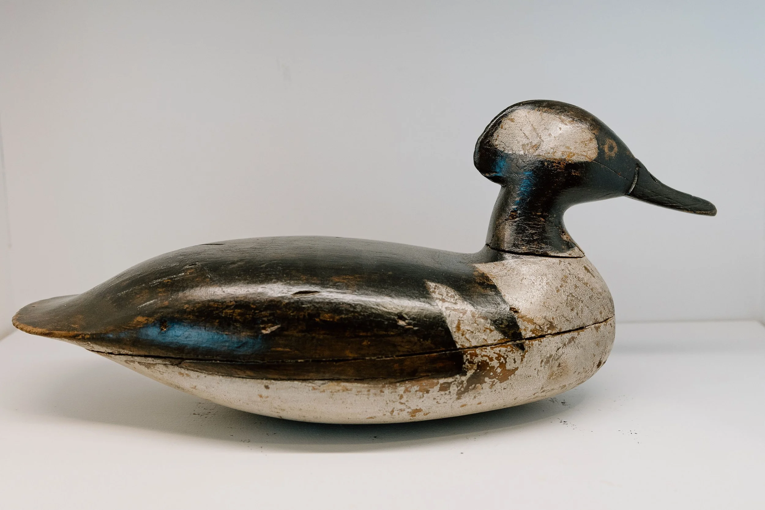 Harry M. Shourds, Hooded Merganser, 1890-1943