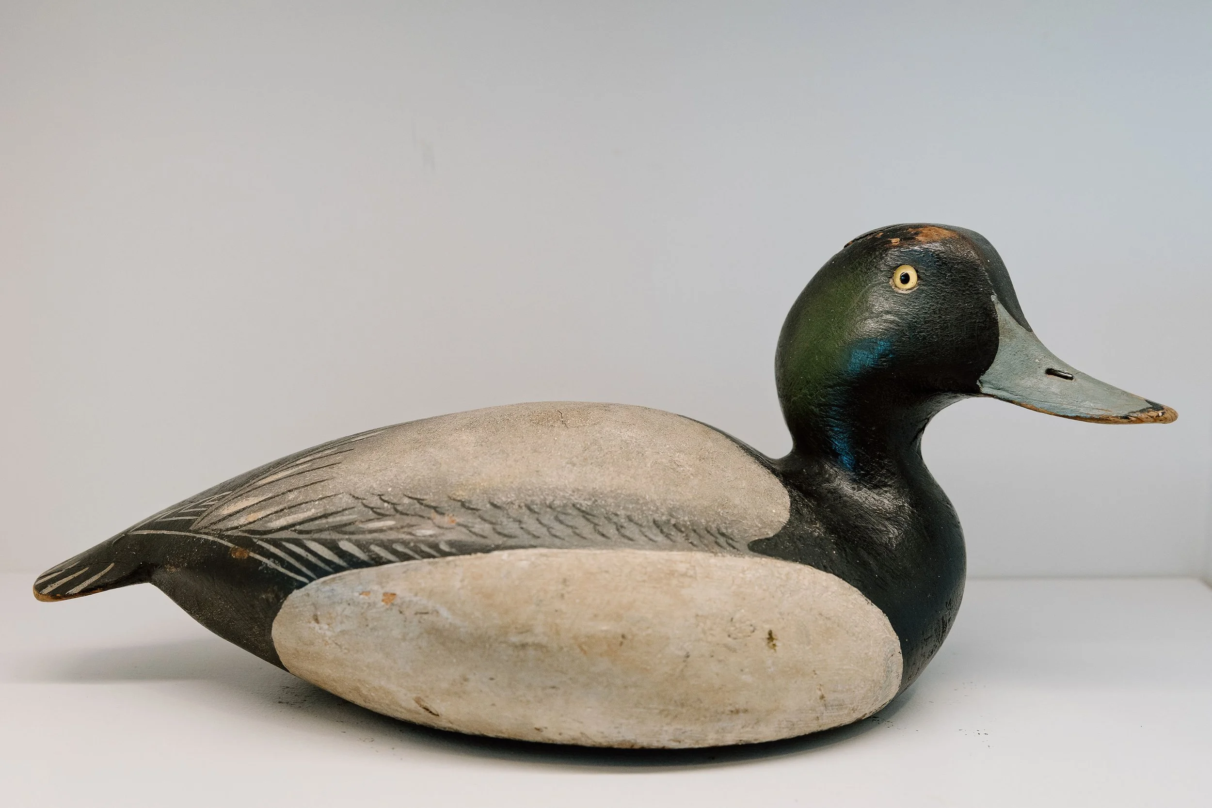 Ward Brothers, Bluebill