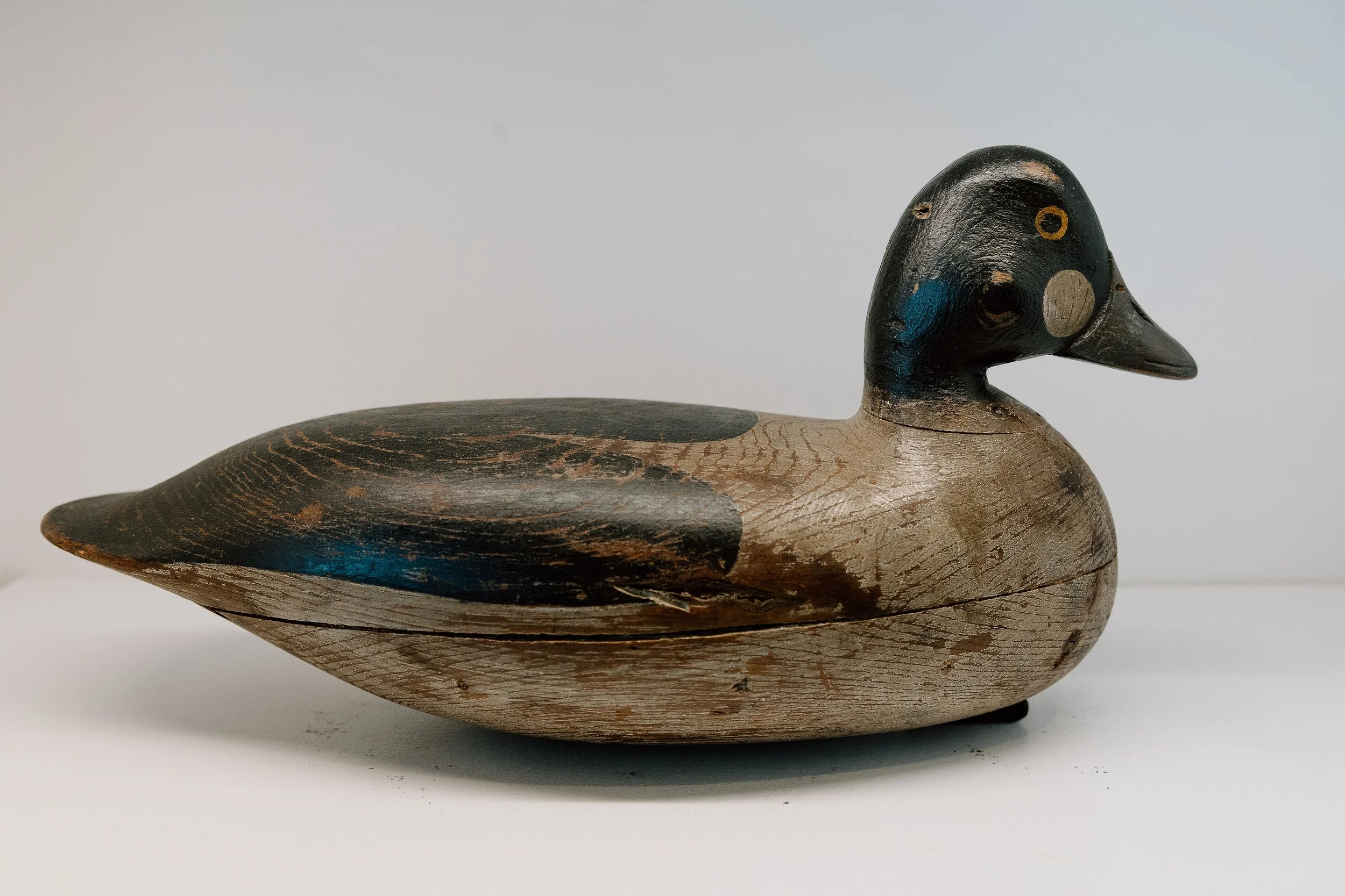 Harry V. Shourds, Goldeneye Drake, Late 1800s