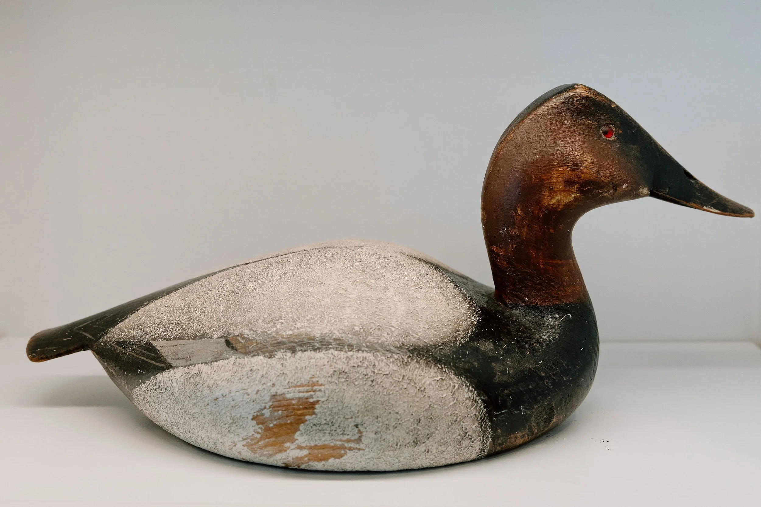 Ward Brothers, Canvasback, 1948