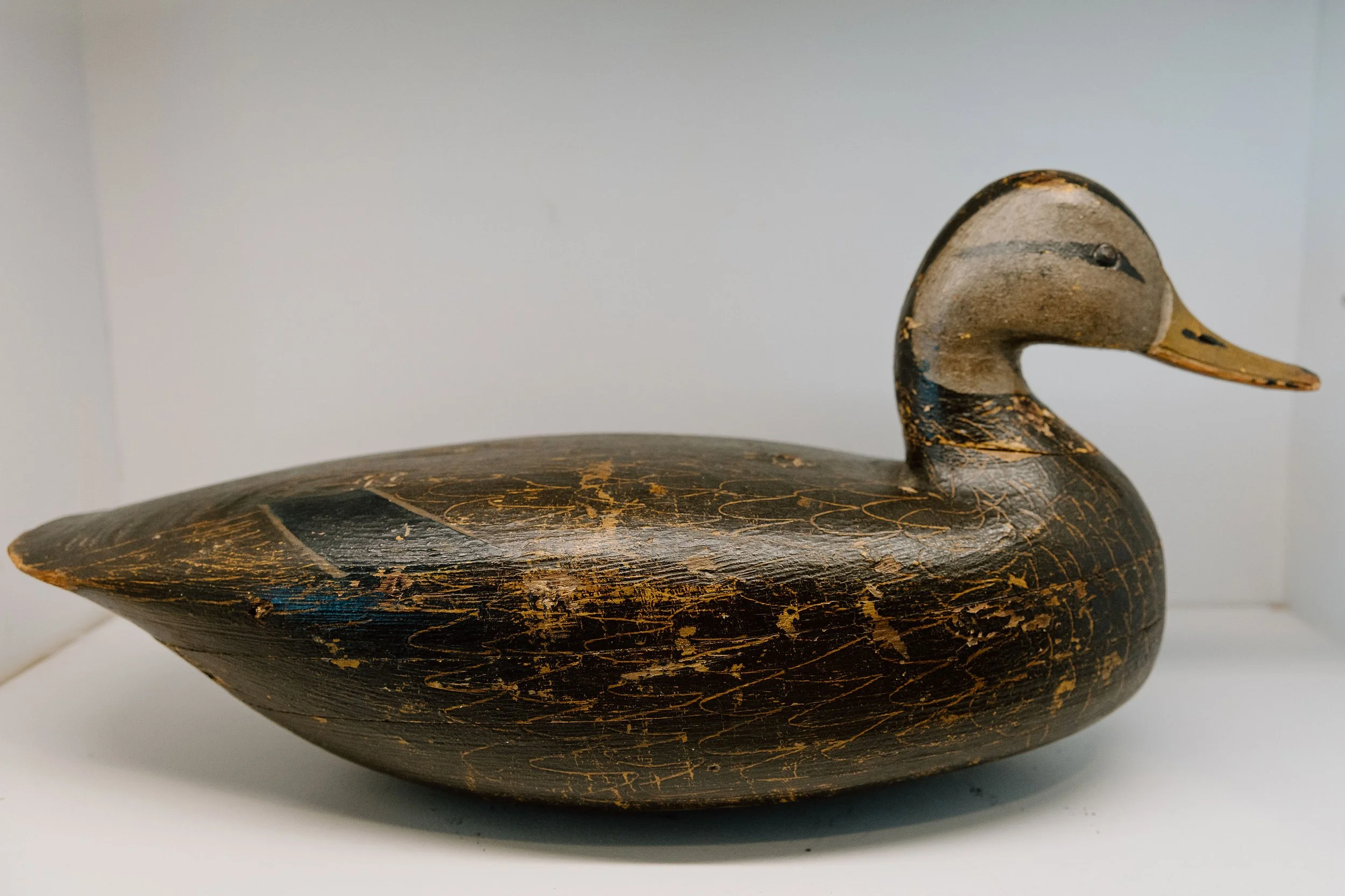 Ira Hudson, Black Duck, ca. 1900-1935