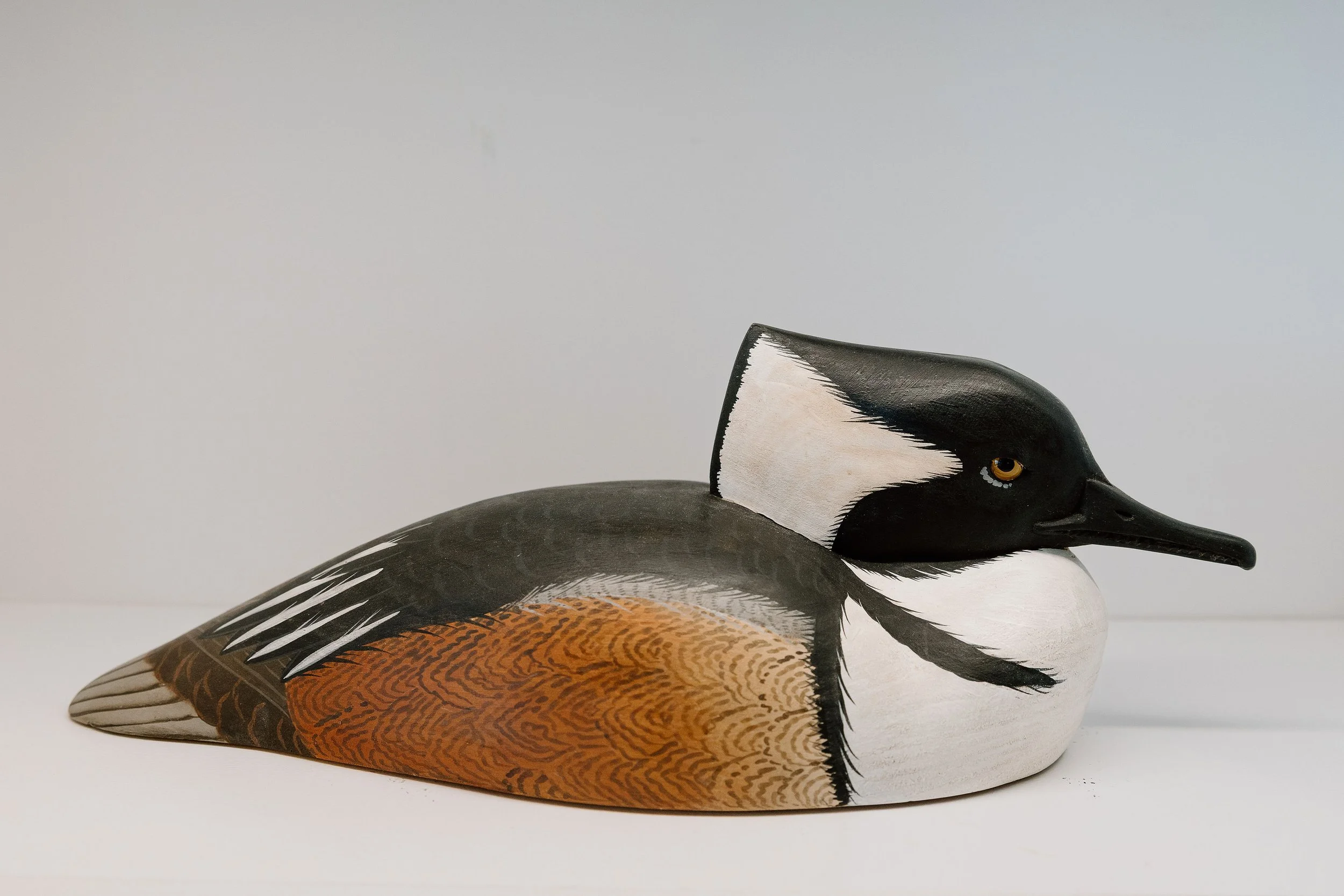 Rich Smoker, Hooded Merganser, 2020