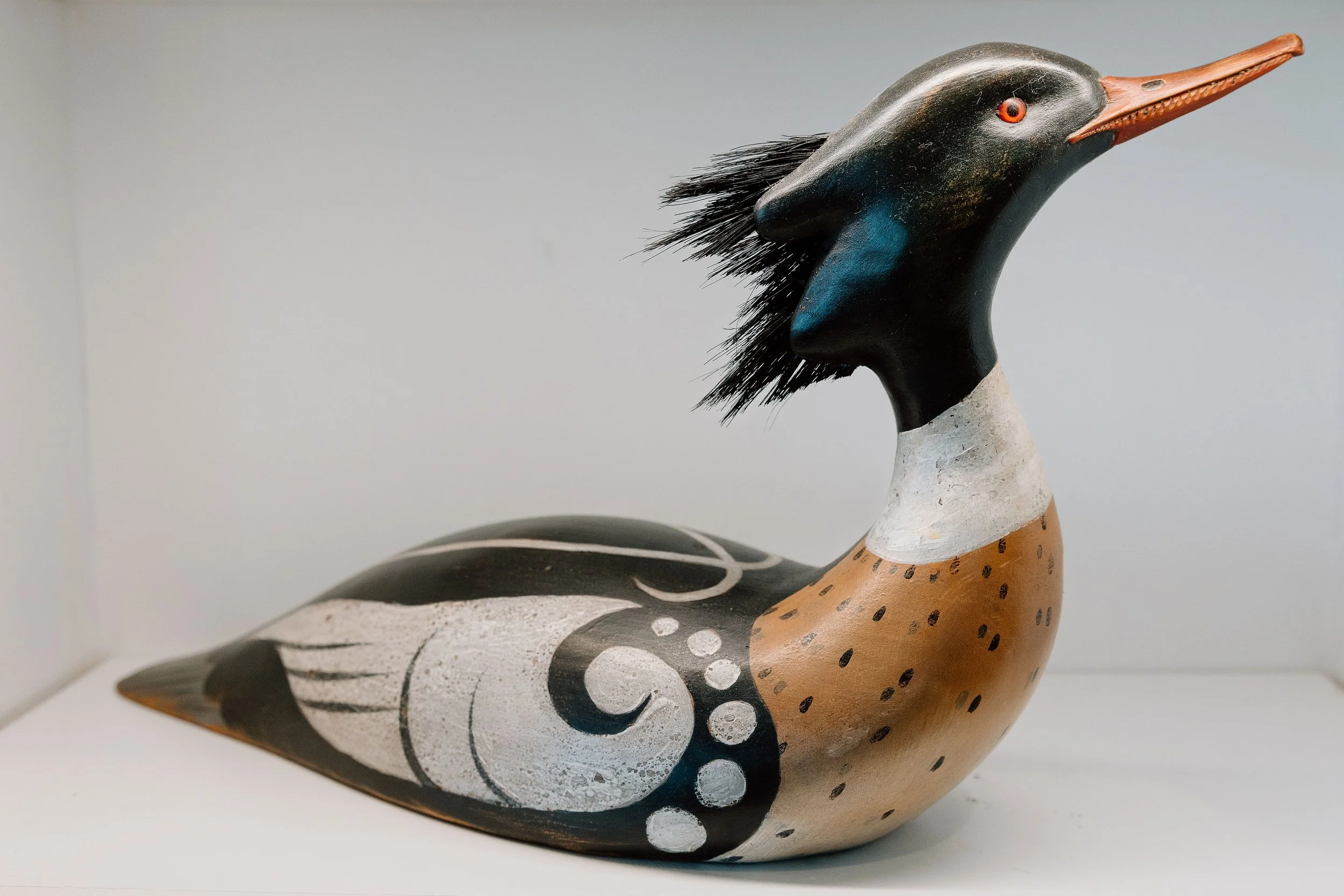Rich Smoker, Red Breasted Merganser, 2008