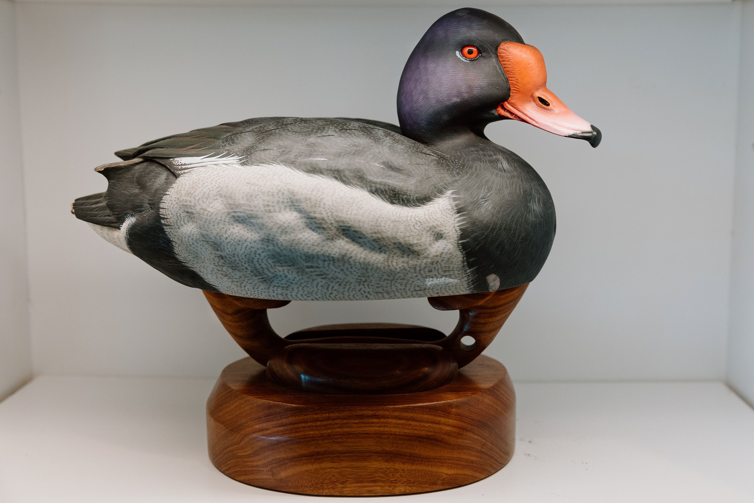 Rich Smoker, Rosy-billed Pochard, 2021