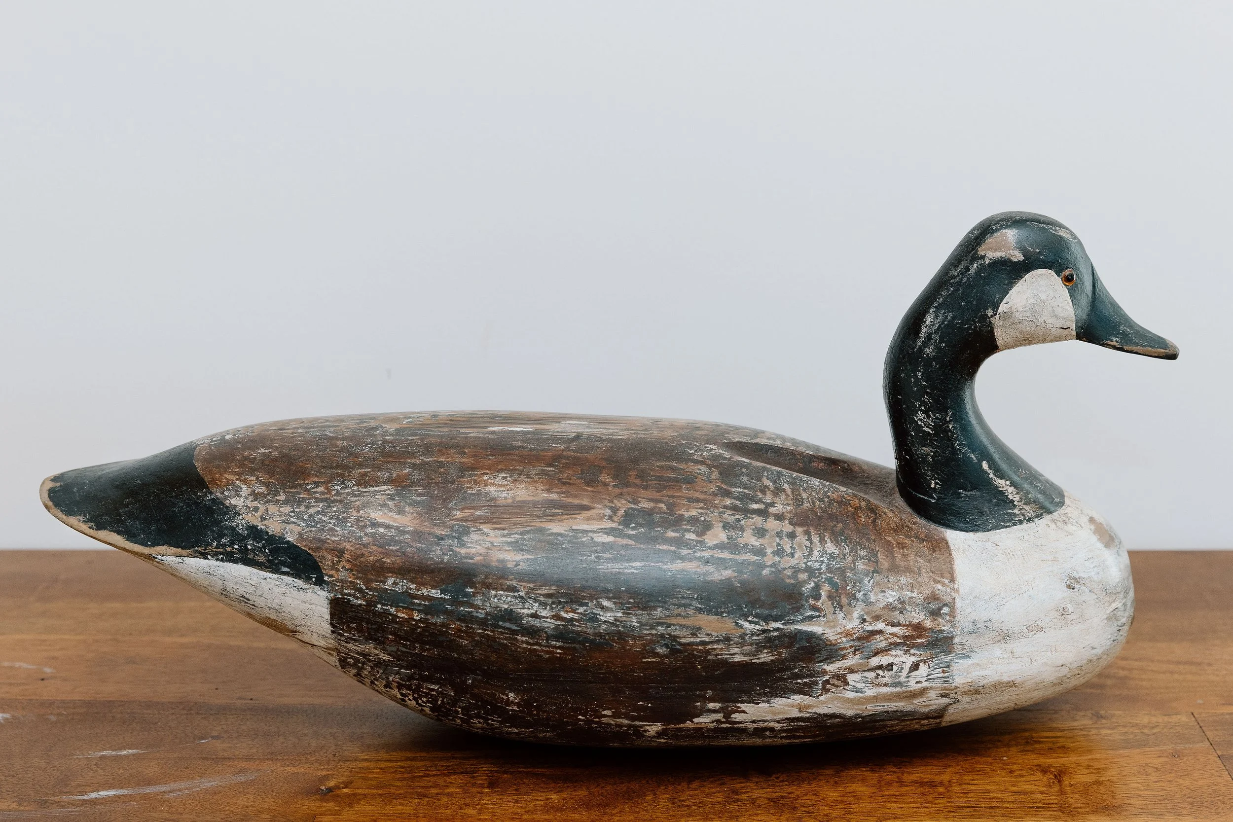 Joe King, Canada Goose, ca. 1880