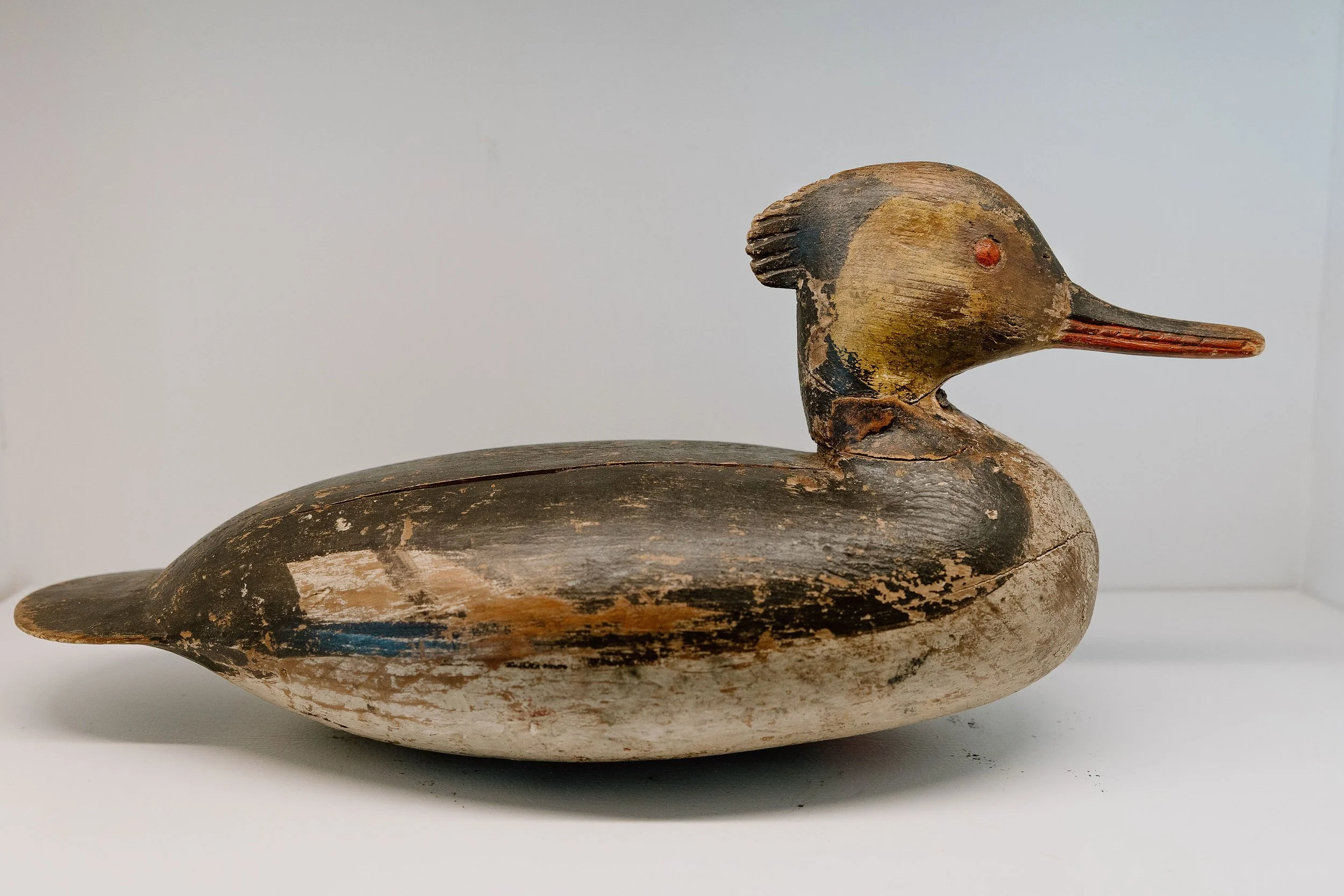 Ira Hudson, Red Breasted Merganser Hen, ca. 1920