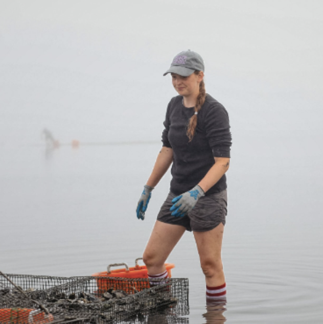 Person wearing gloves and a cap standing in water with oyster baskets.