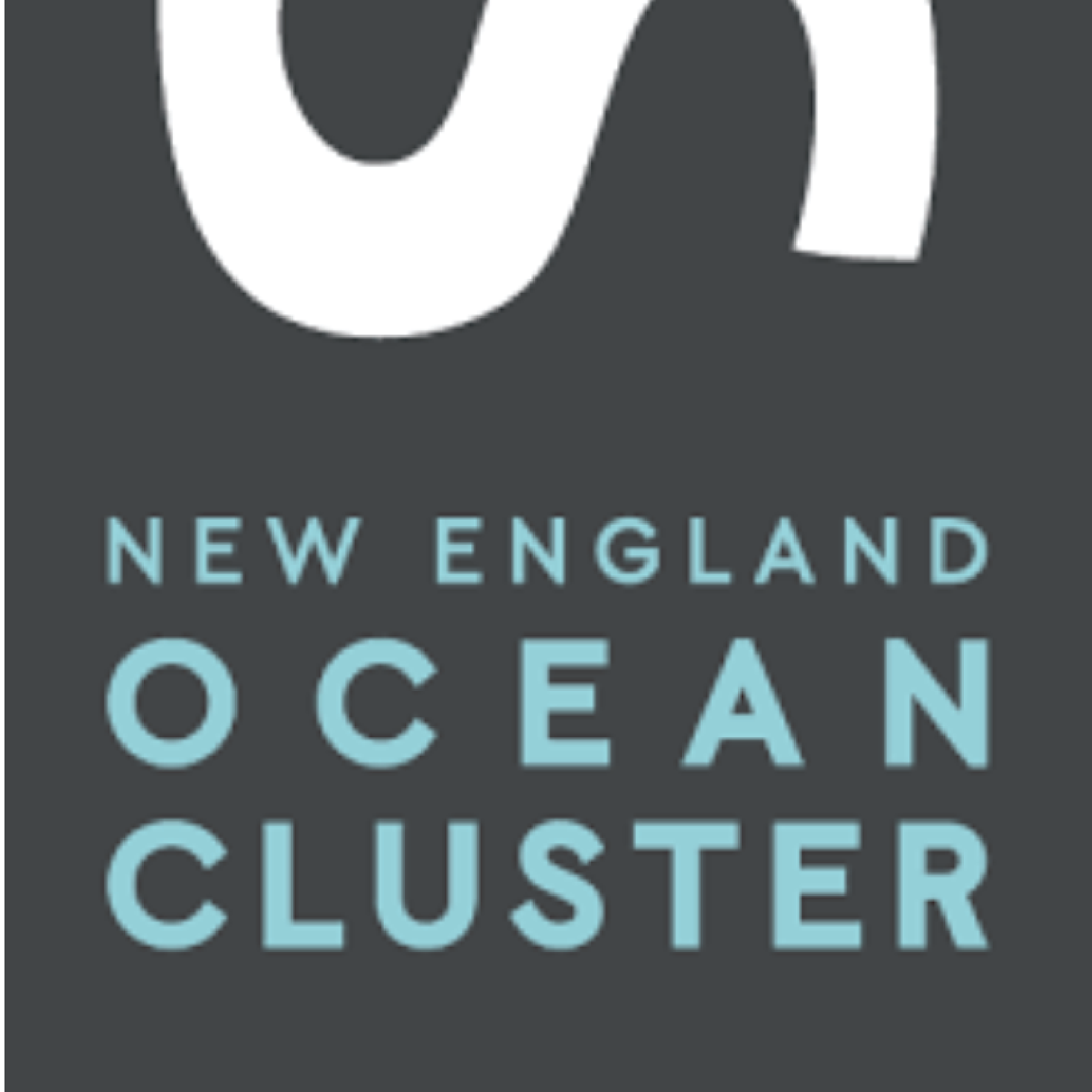 Logo of New England Ocean Cluster with a stylized wave design.