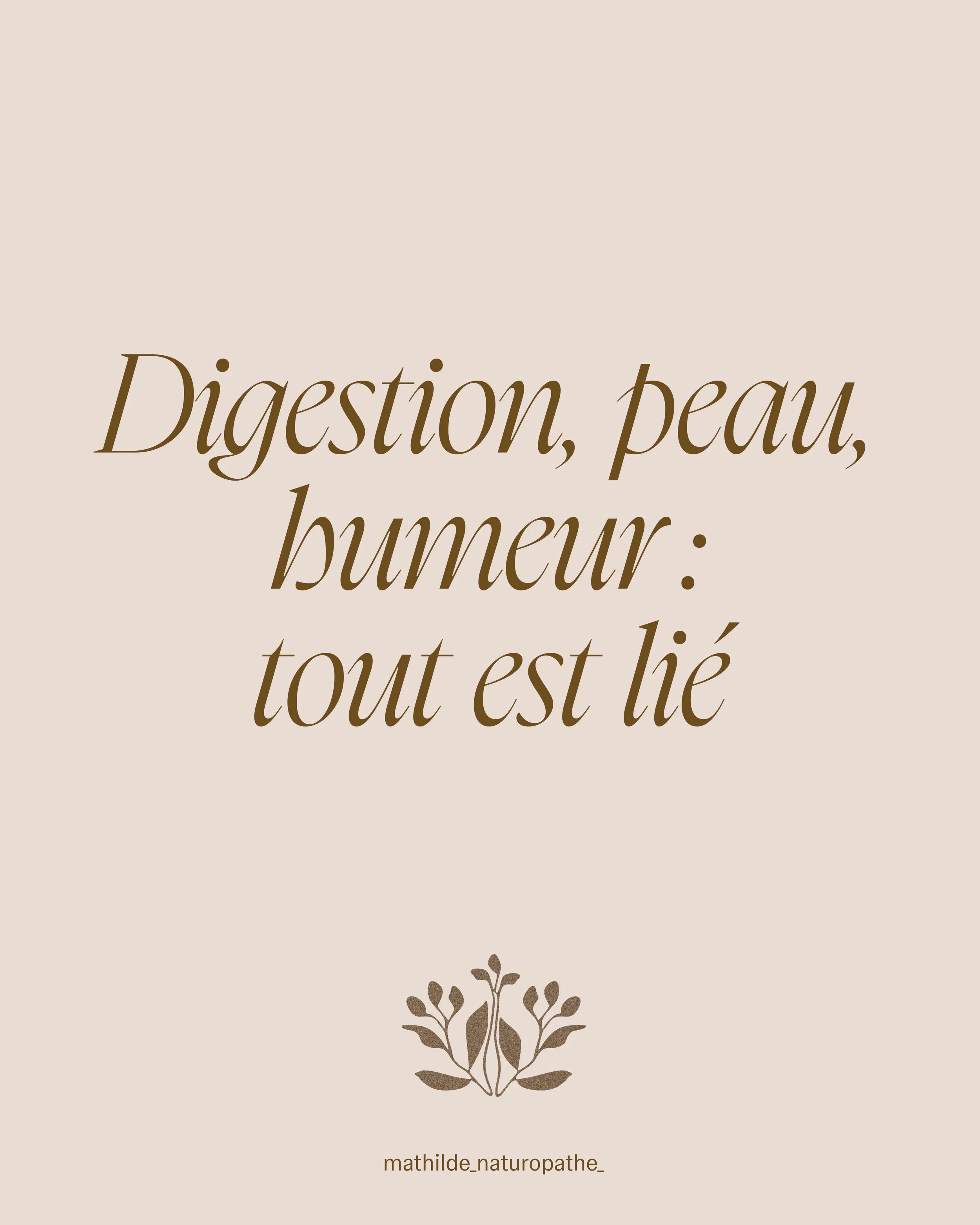 Digestion, peau, humeur : tout est lié