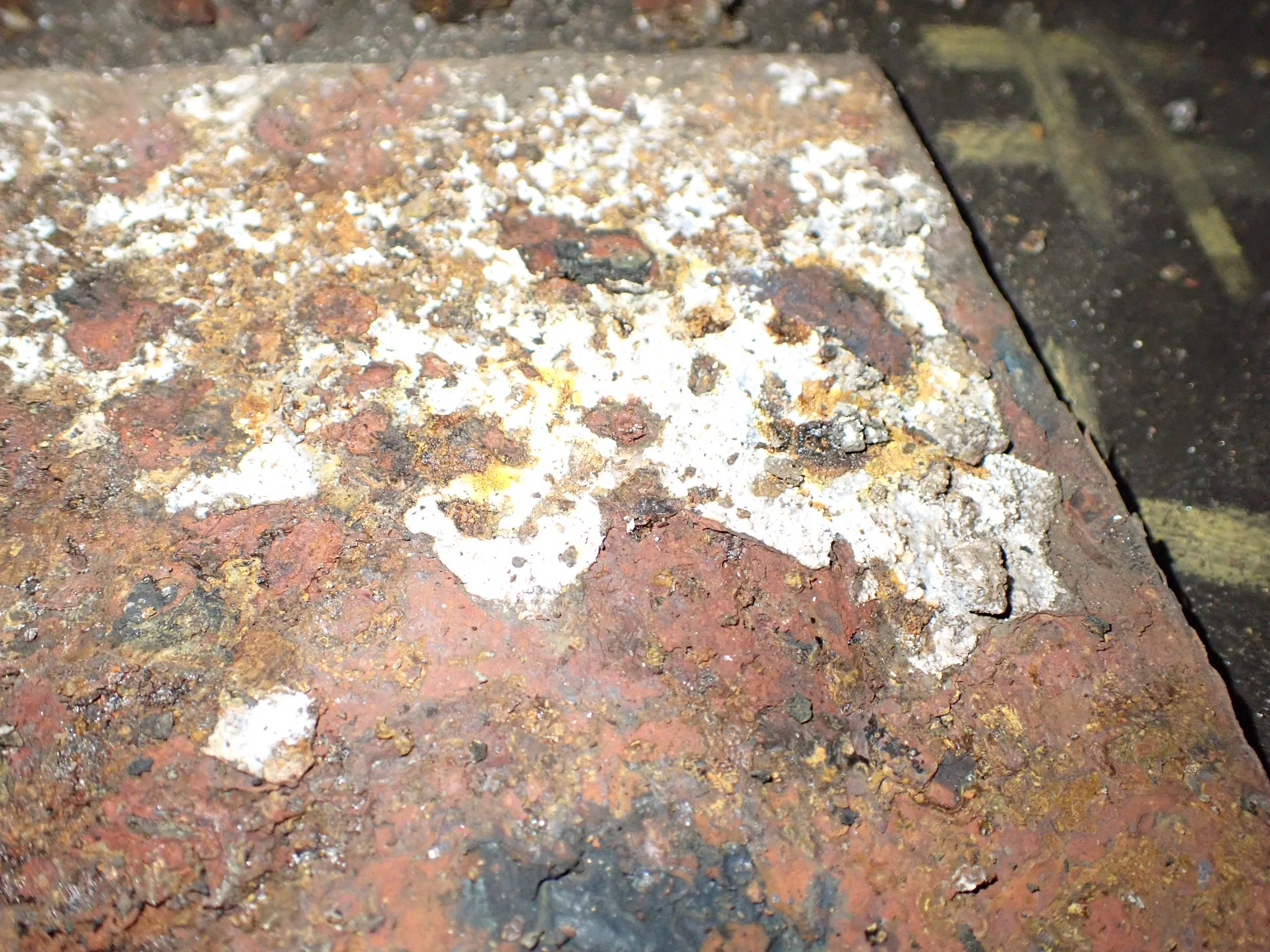 Corrosion influencée par les bactéries