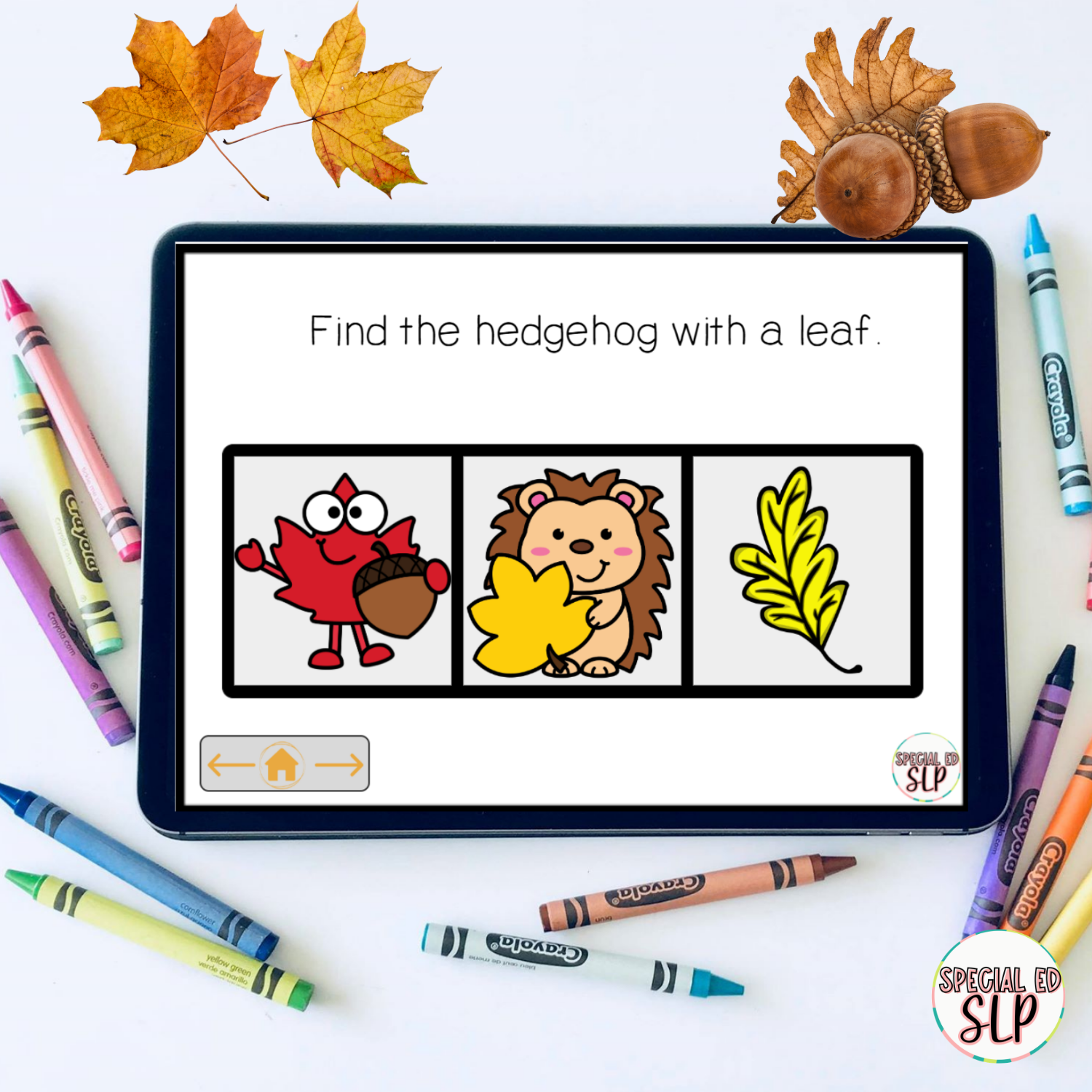 Fall themed vocabulary flashcards for speech therapy for September, October and November and Thanksgiving themes.