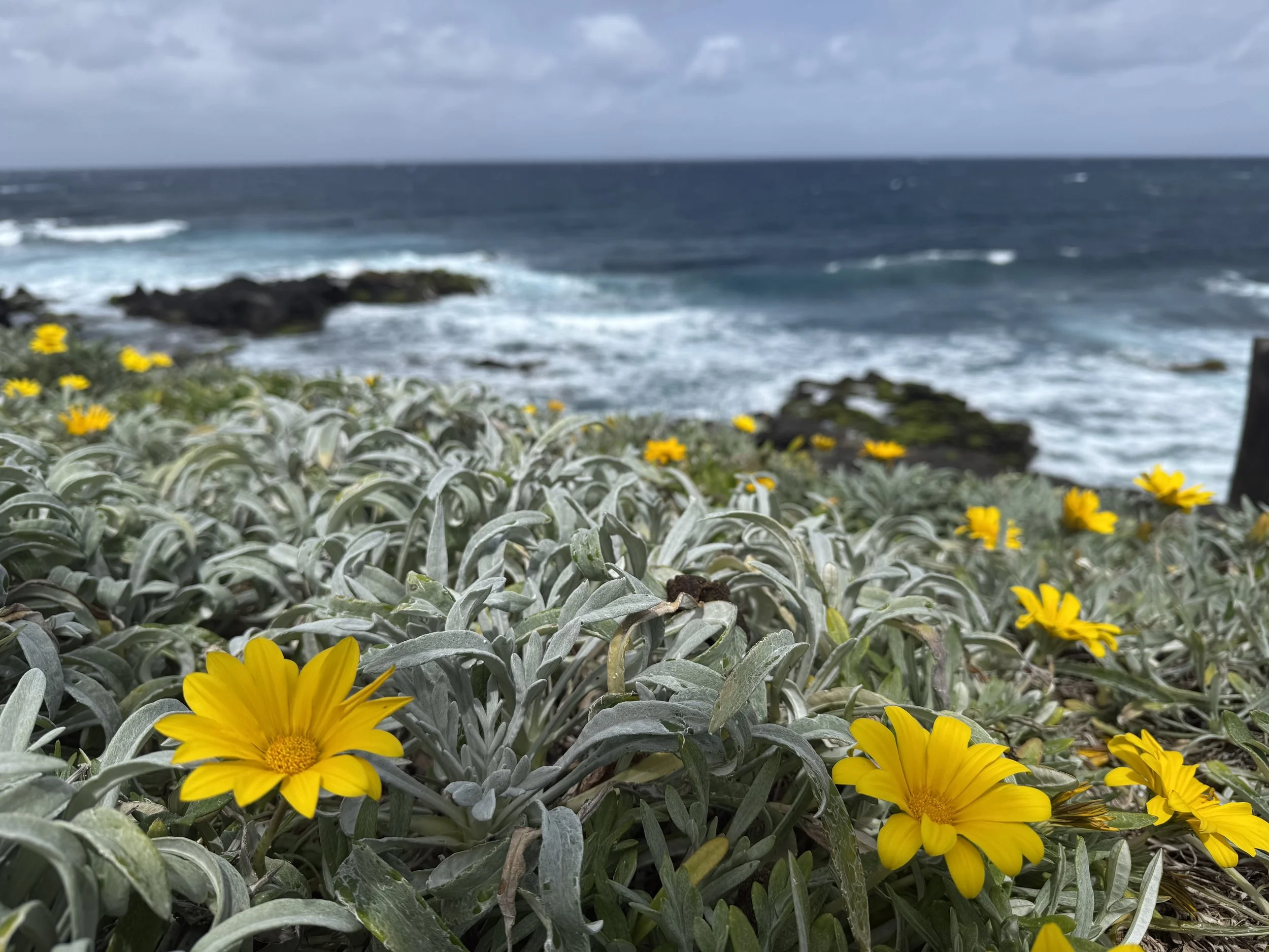 Wandercoaching zu Berufung finden auf Azoren Santa Maria mit Sabine Prinz von prinzpiration