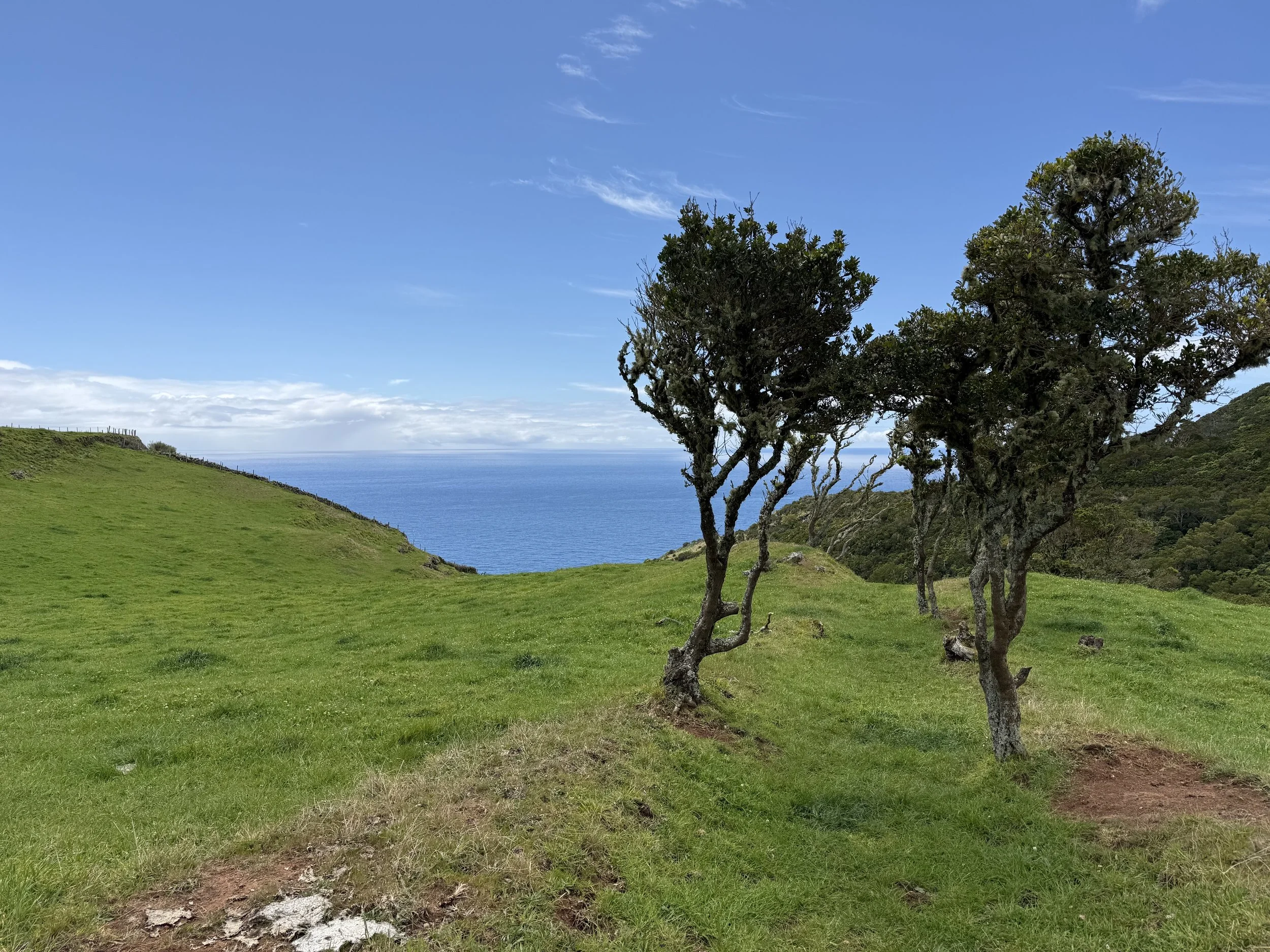 Wandercoaching zu Berufung finden auf Azoren Santa Maria mit Sabine Prinz von prinzpiration