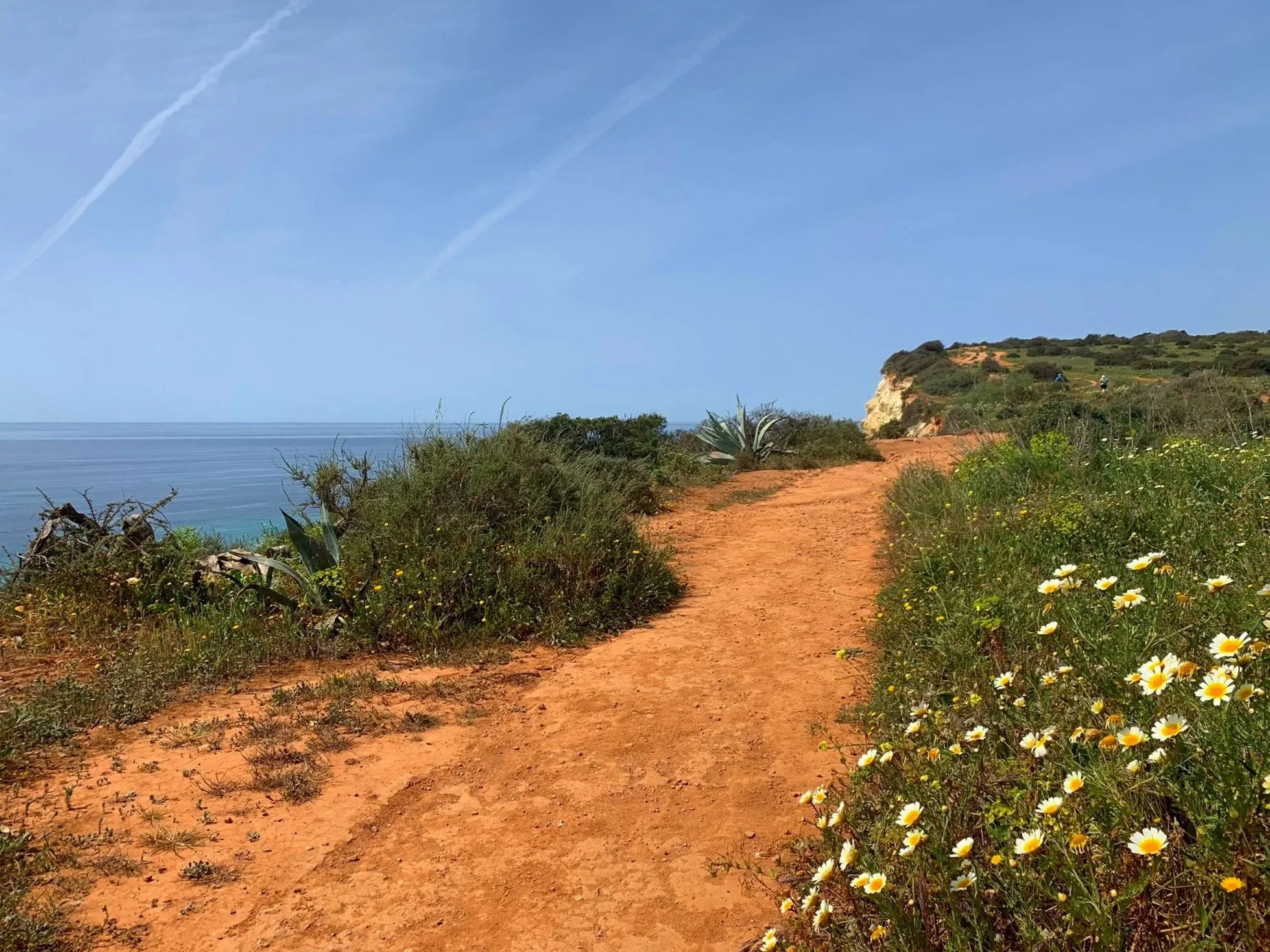 Algarve_Weg.jpg