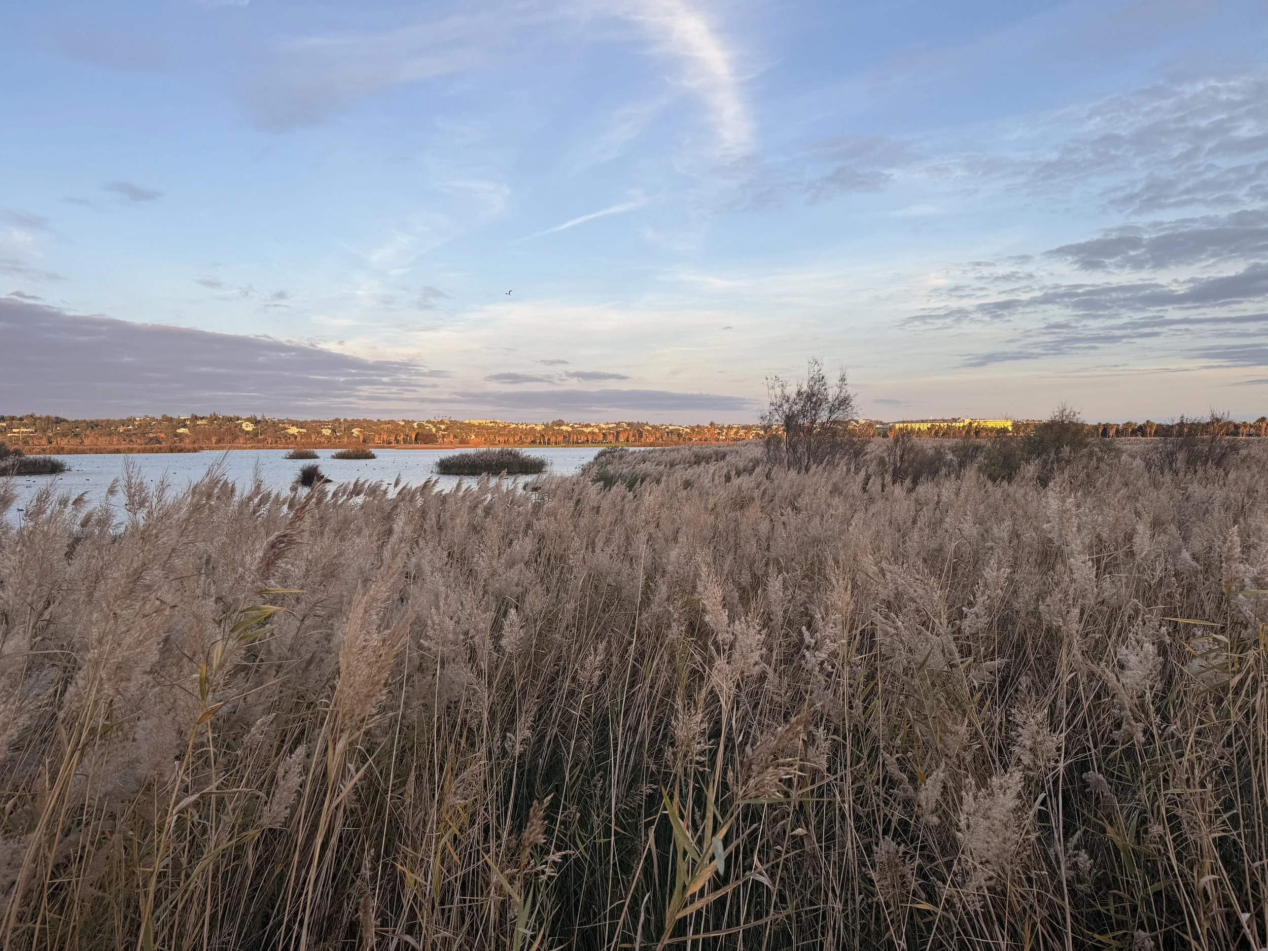 Lagune bei Armação de Pêra, Algarve