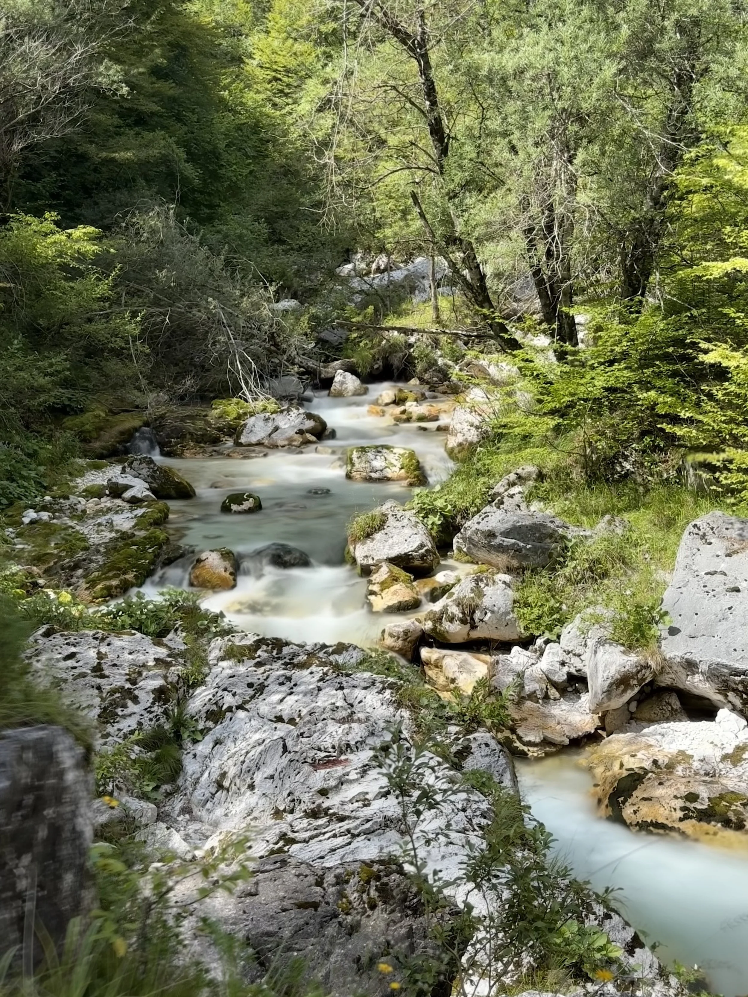 idyllischer Flussabschnitt des Juliana Trail