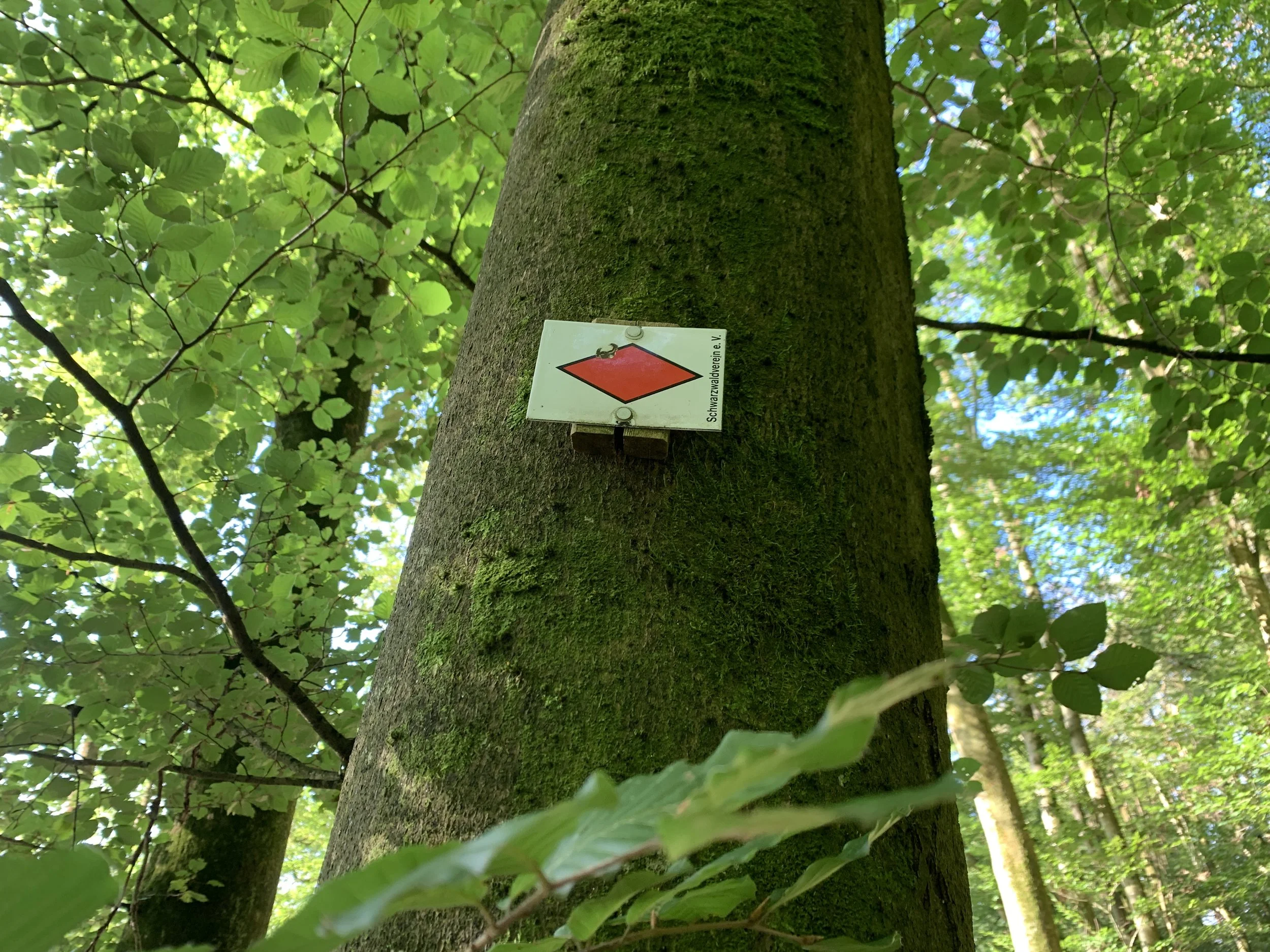 Wanderkurs prinzpiration Fernwanderungen Pilgern