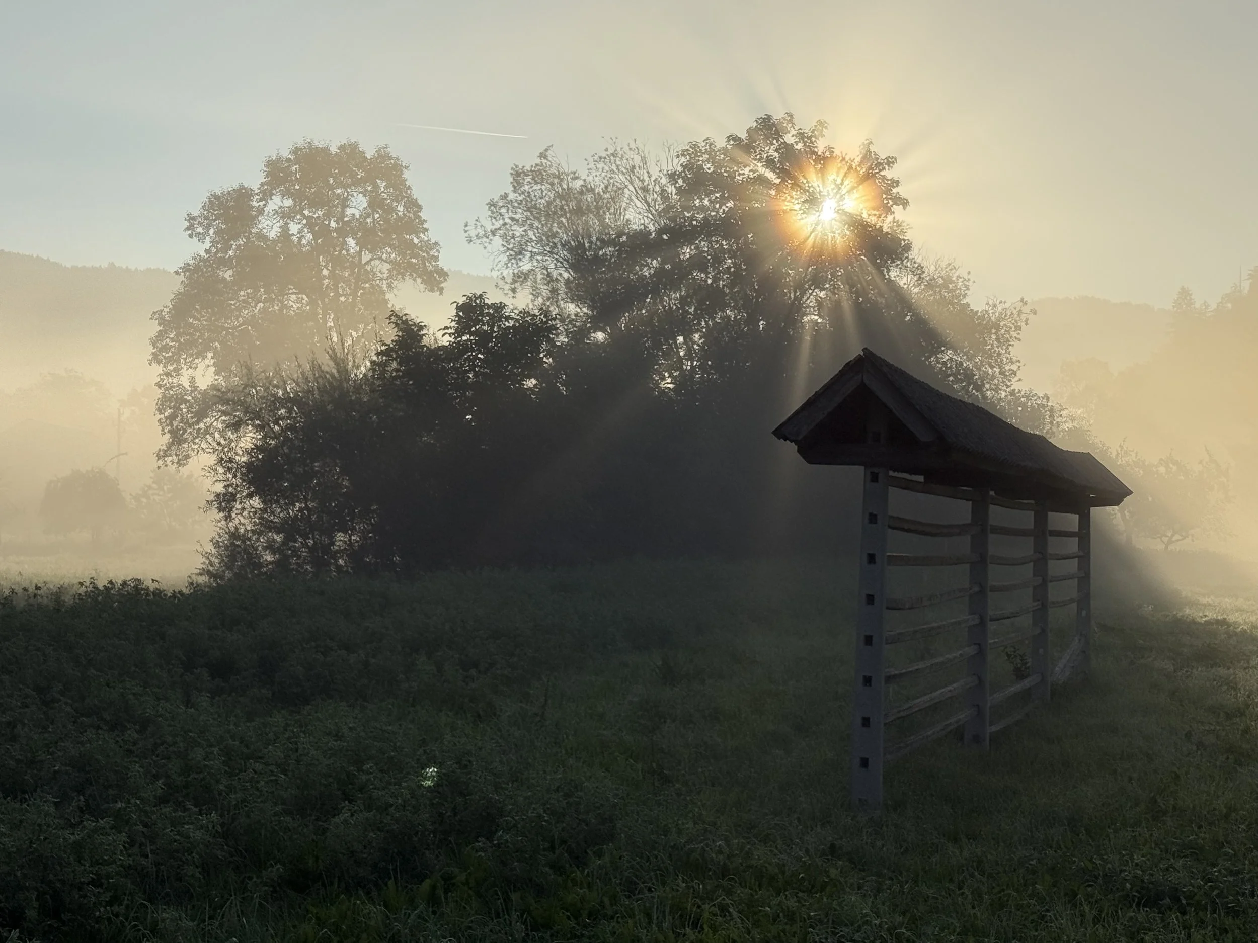 Heuraufe Wiese Morgenstimmung Juliana Trail