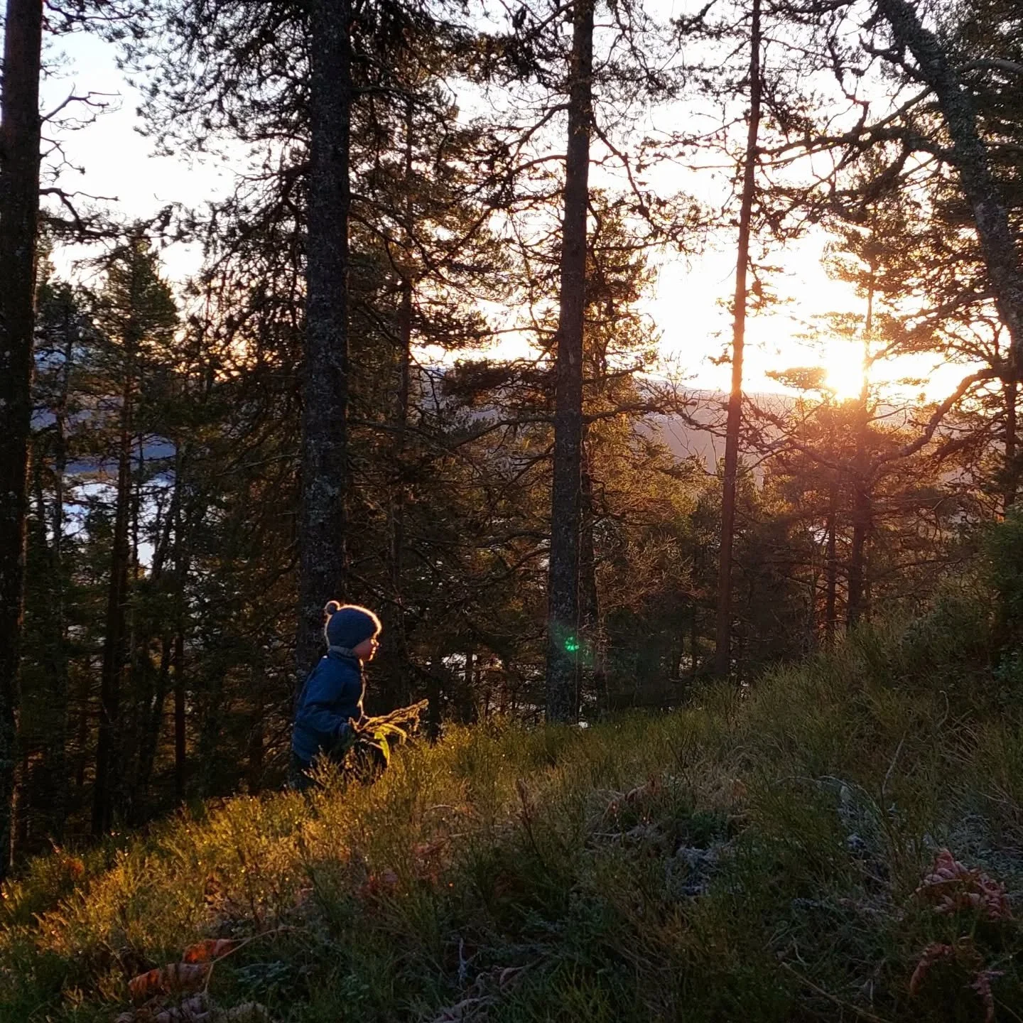 I dag snur solen og det g&aring;r igjen mot lysere tider. Det feirer vi med &aring; hilse p&aring; solen, og da m&aring;tte vi opp en del h&oslash;ydemeter!