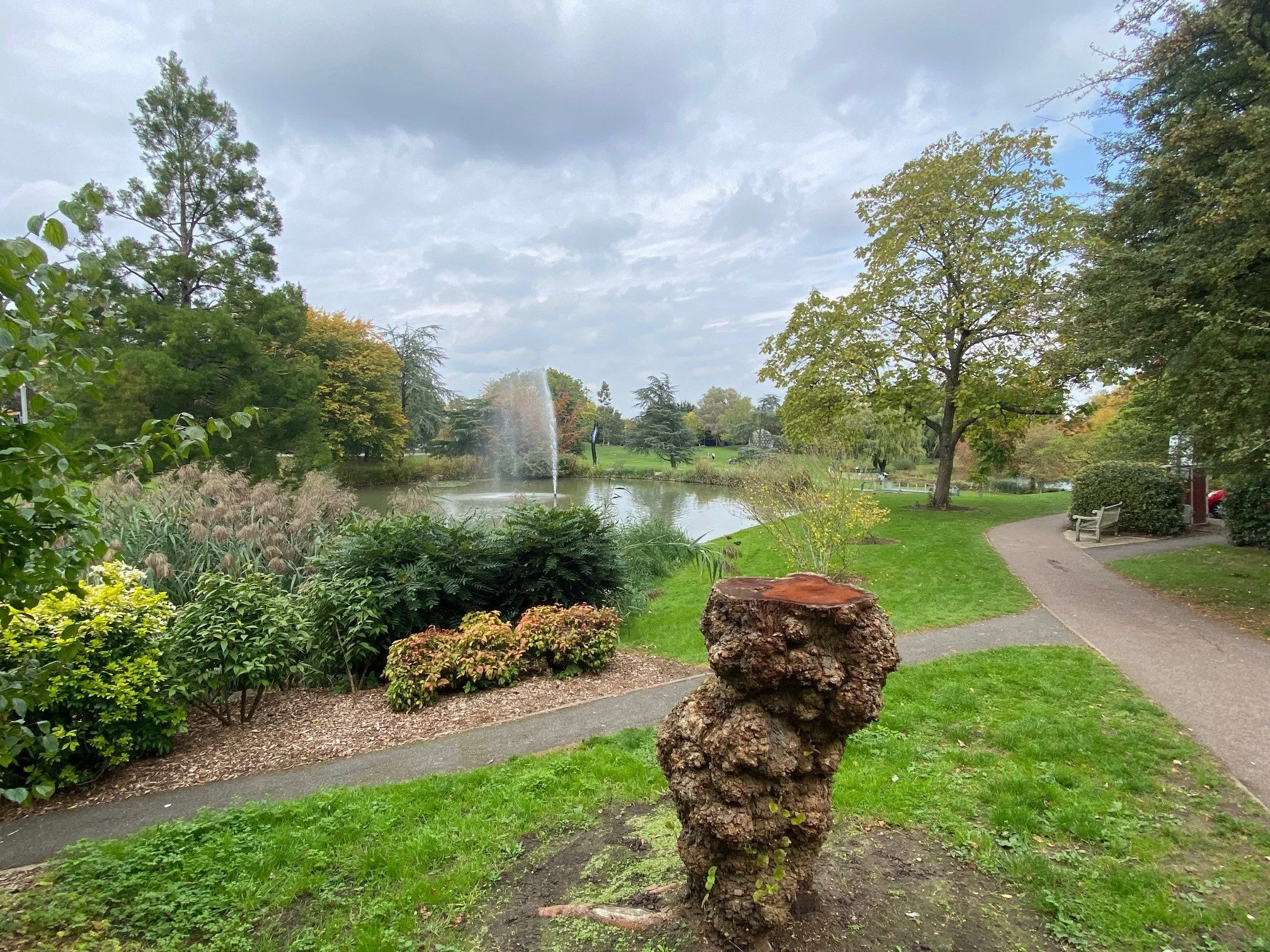 University of surrey park with a pond in the background featuring a fountain, surrounded by trees, bushes, and greenery. There is a dirt walking path and a bench along the path.