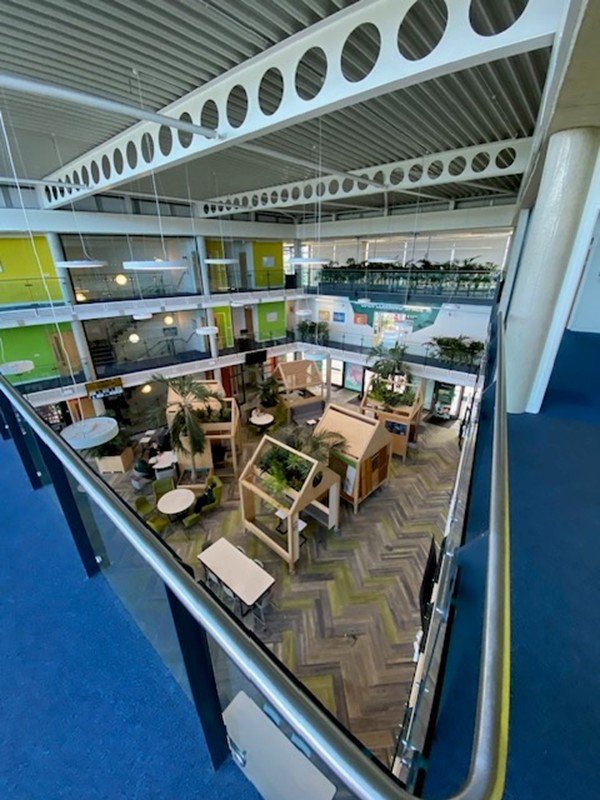 View of a modern indoor public space at the University of Brighton with seating, small tables, plants, and greenery, seen from an upper floor balcony.