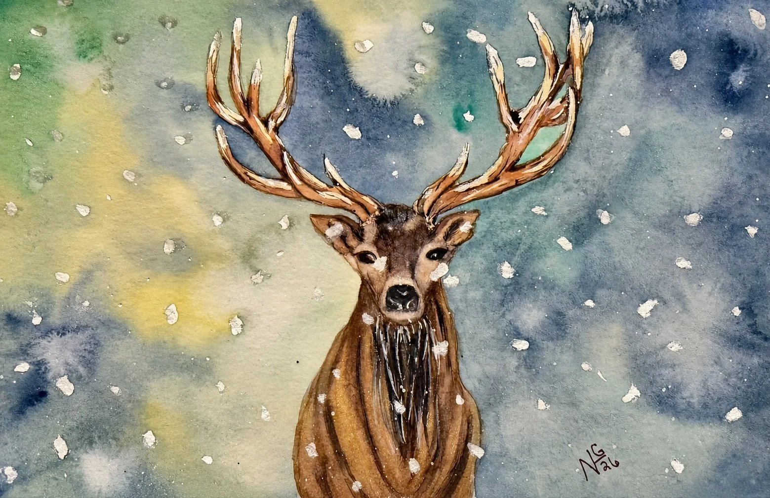 Stag in the snow.jpg
