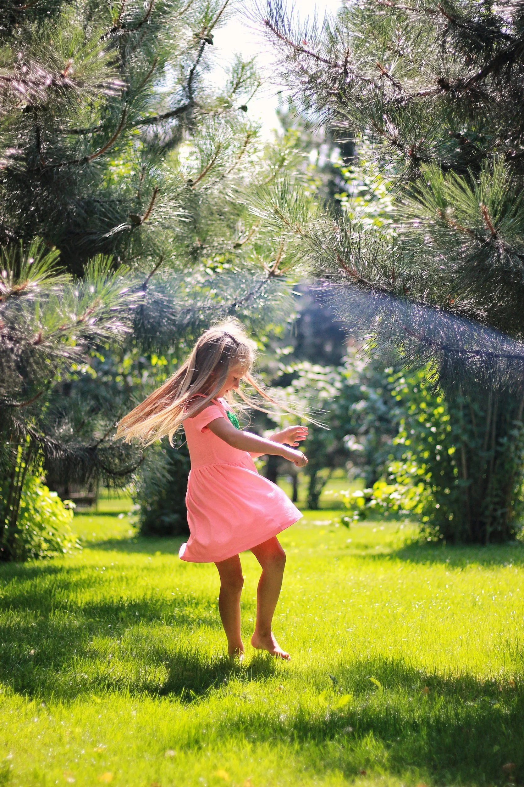 Summer Home Preparation