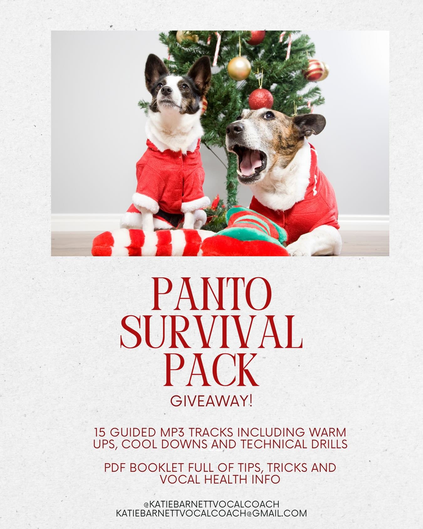 ✨PANTO SURVIVAL PACK GIVEAWAY ✨

To celebrate the launch of my Panto Survival Pack, I&rsquo;ll be gifting it to one of you to help you sparkle all Panto season! 

✨What&rsquo;s inside: 

🧑&zwj;🎄15 guided MP3s including:
-warms ups
-cool downs
-brea