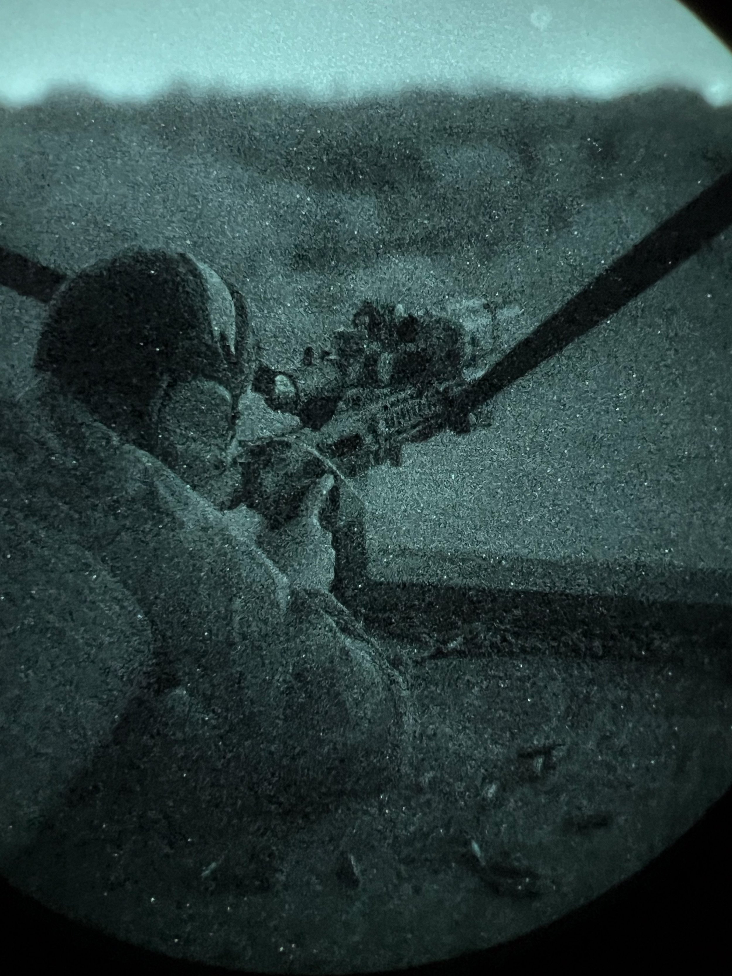 range_day-12.jpg