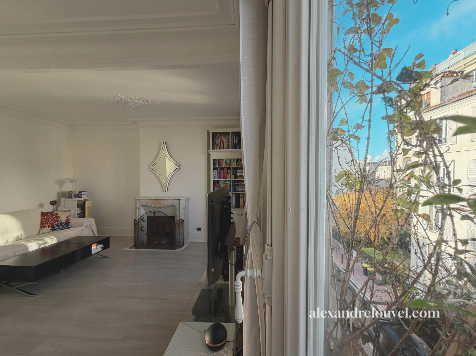 Vue du salon d'un appartement avec un canapé blanc, un meuble TV, une cheminée décorative, une bibliothèque remplie de livres, une fenêtre laissant entrer de la lumière naturelle, des arbres visibles à l'extérieur, et un ciel bleu.