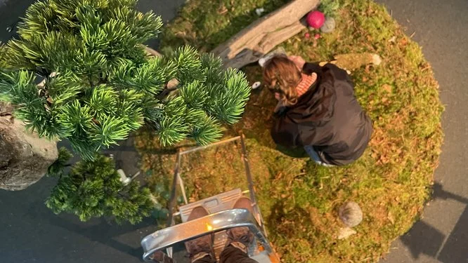 STILLS OG BTS | BILLEDBOGEN | GESTALT