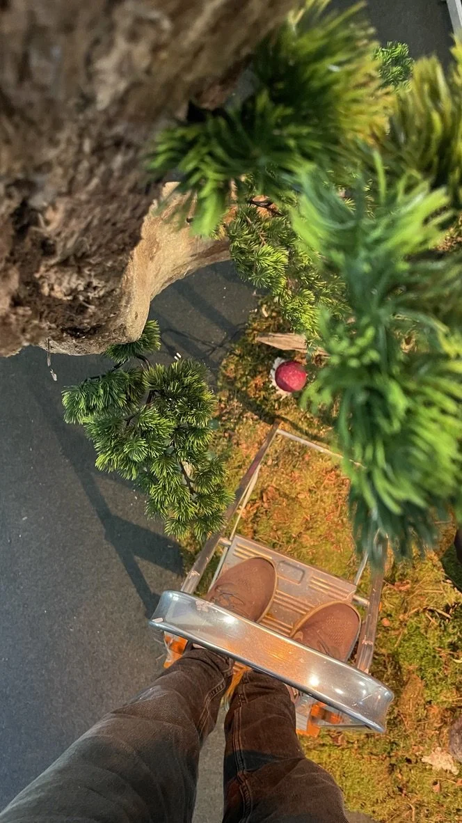 STILLS OG BTS | BILLEDBOGEN | GESTALT